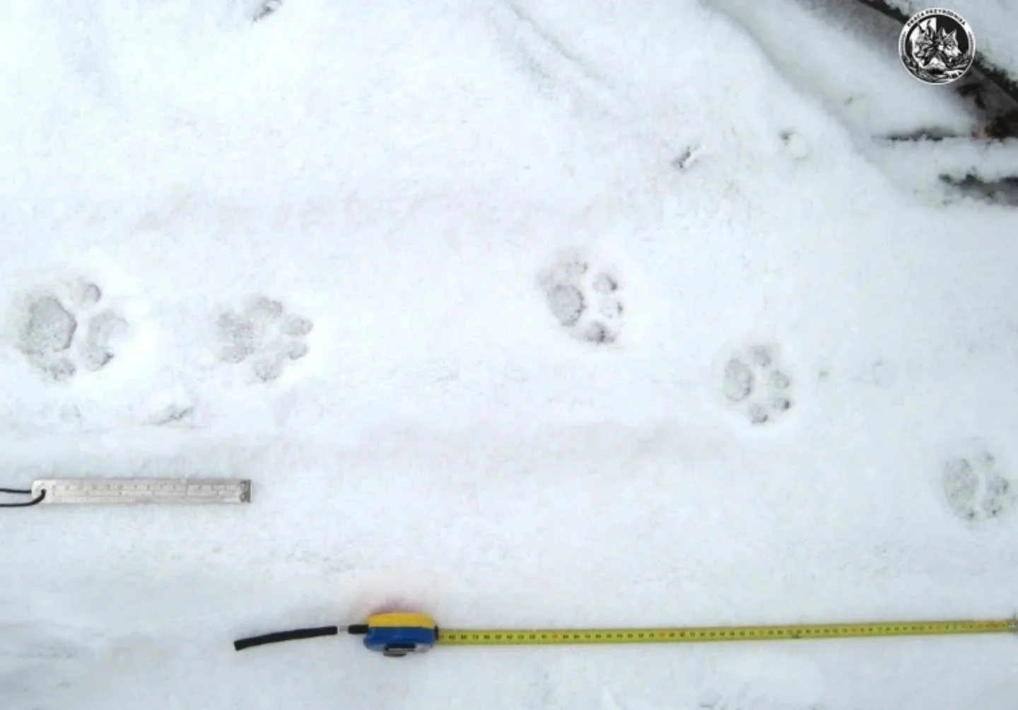 Świąteczna chwila oddechu ⭐️

Dziś wszyscy na moment zwalniamy.
Zatrzymujemy się w biegu, odkładamy plany, patrzymy uważniej na tych, kt&oacute;rzy są obok.

Zyczę, aby czas z bliskimi, rozmowy bez pośpiechu, wsp&oacute;lne chwile pełne uśmiechu &nda