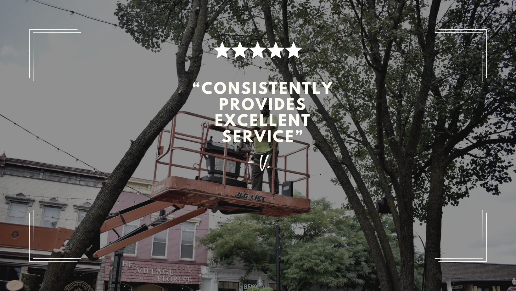 Website Customer Reviews.png