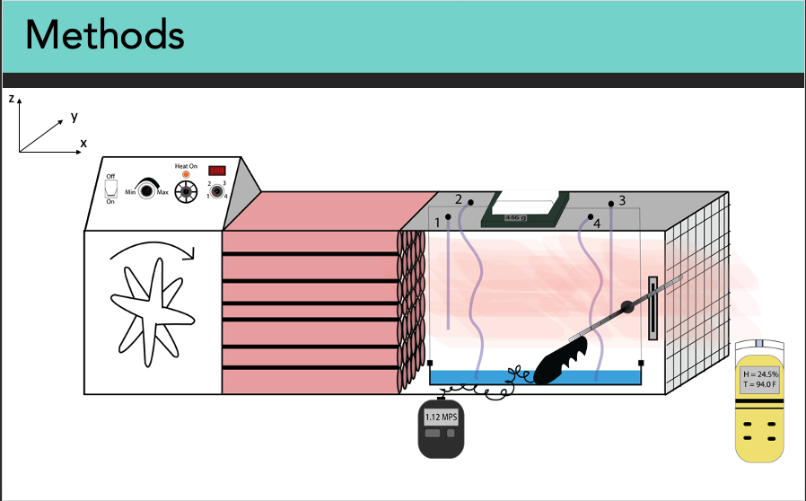 Screen Shot 2020-10-22 at 5.12.18 PM.png