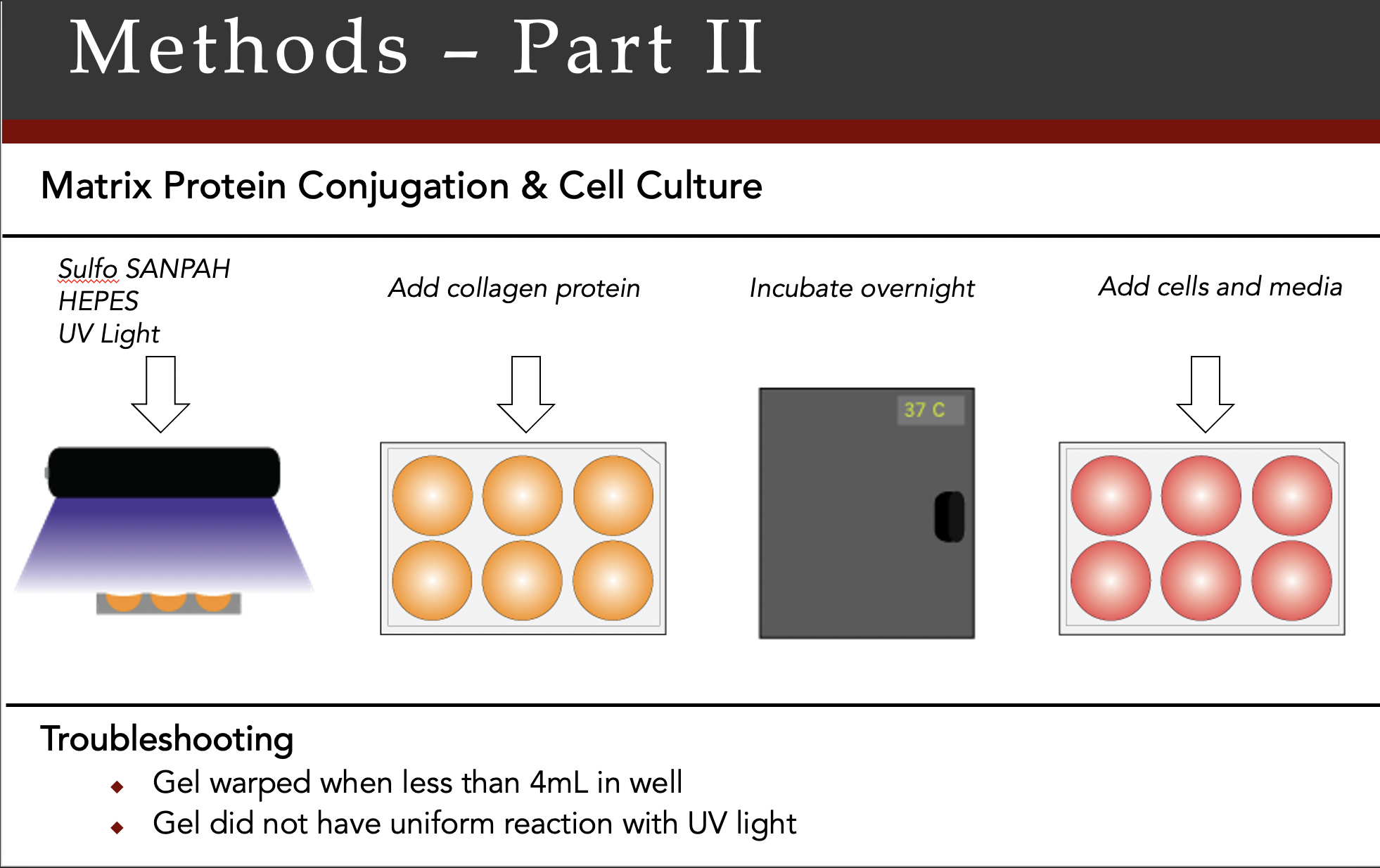 Screen Shot 2020-10-22 at 5.20.35 PM.png