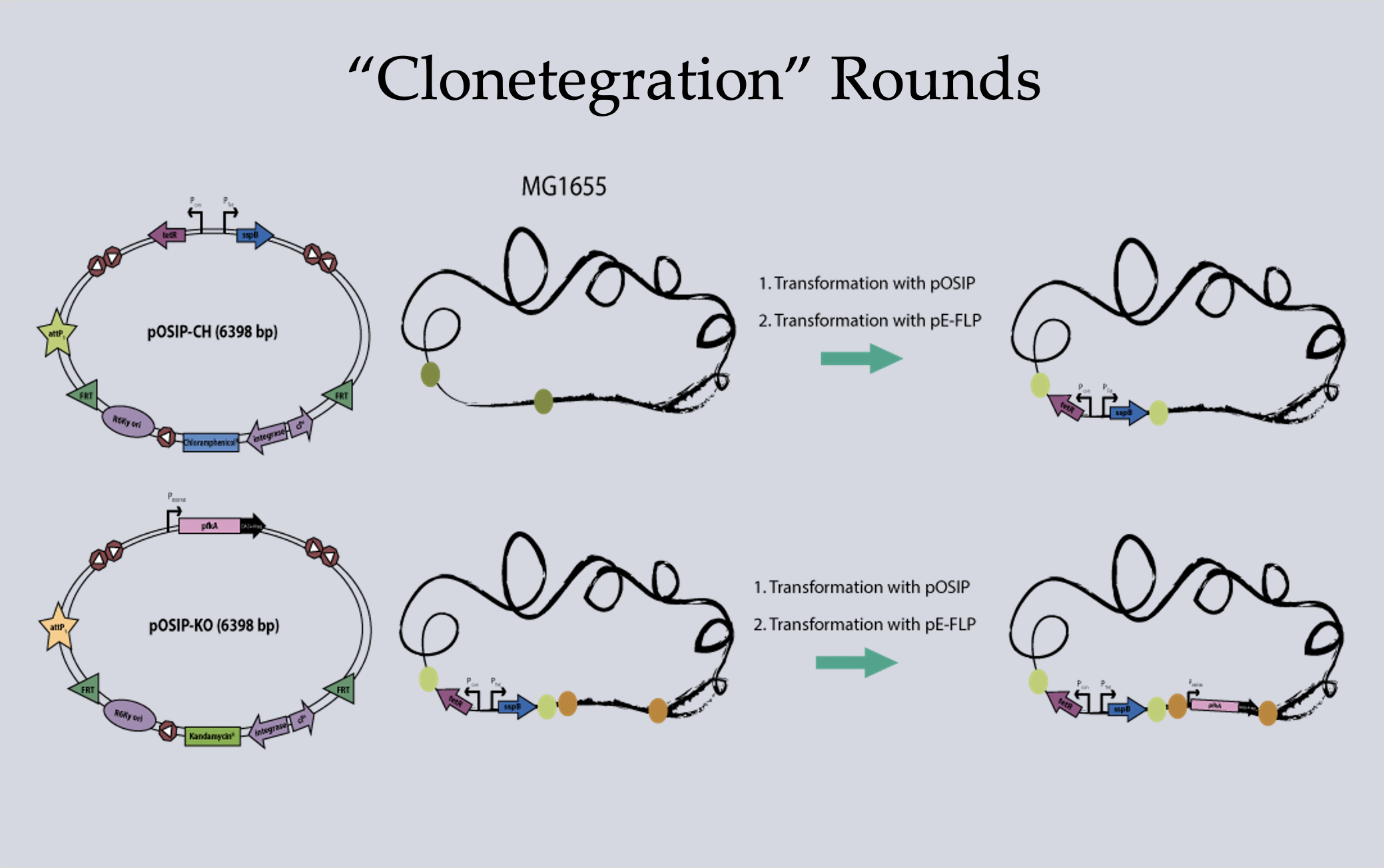 Screen Shot 2020-10-22 at 5.26.23 PM.png