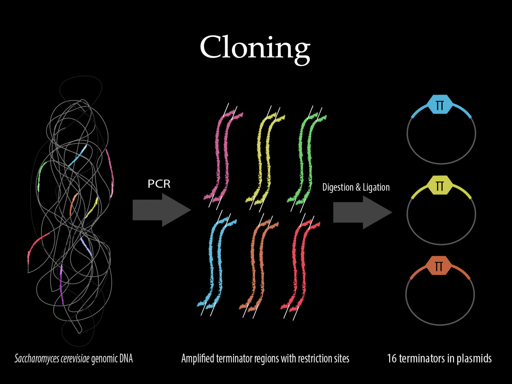 Screen Shot 2020-10-22 at 5.24.45 PM.png