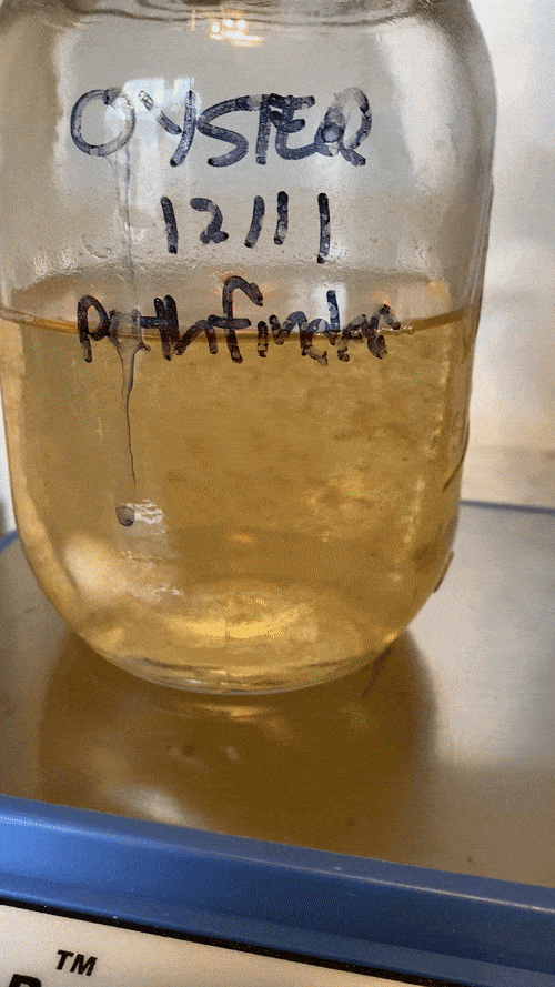 ezgif.com-gif-maker (1).gif