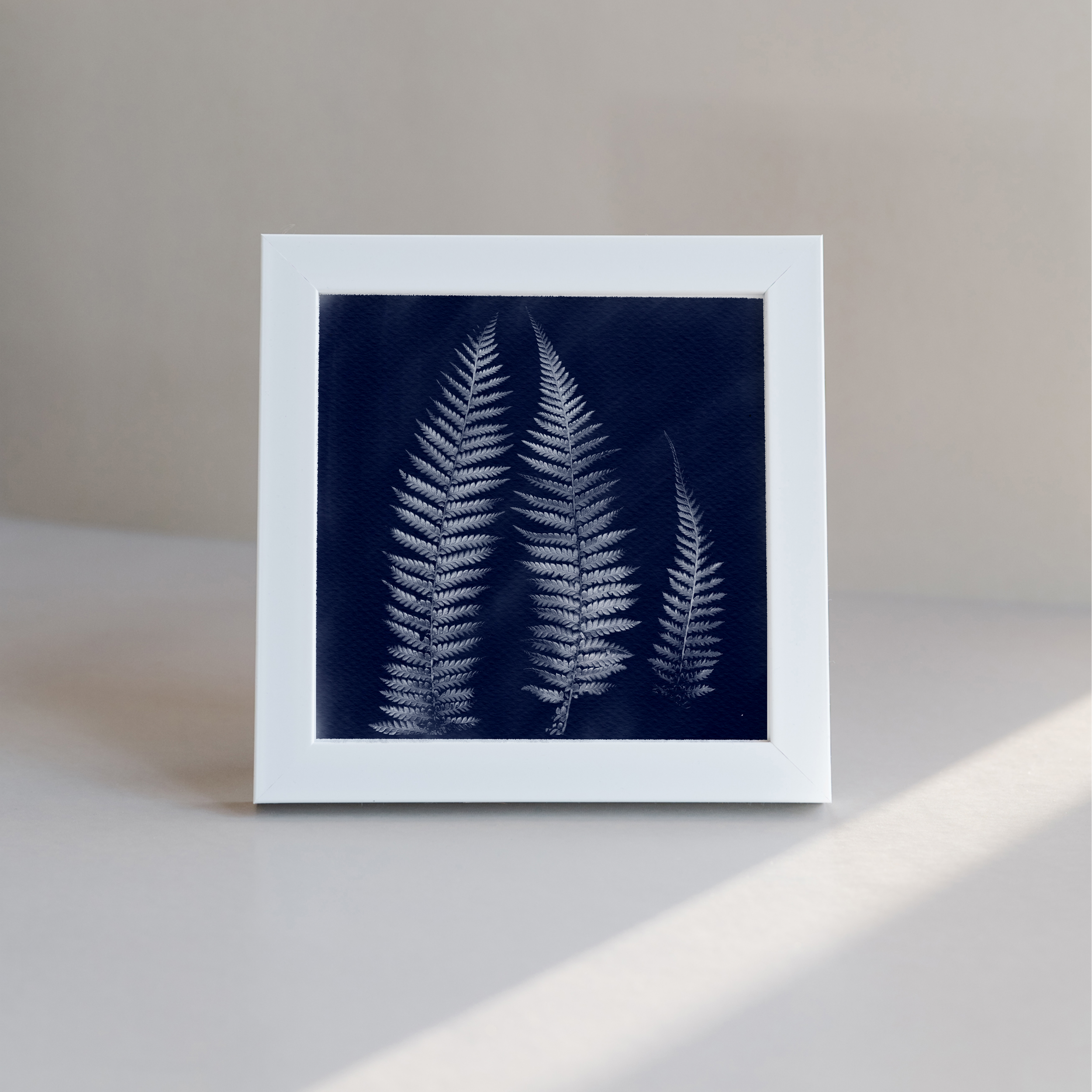Ferns mockup2.png