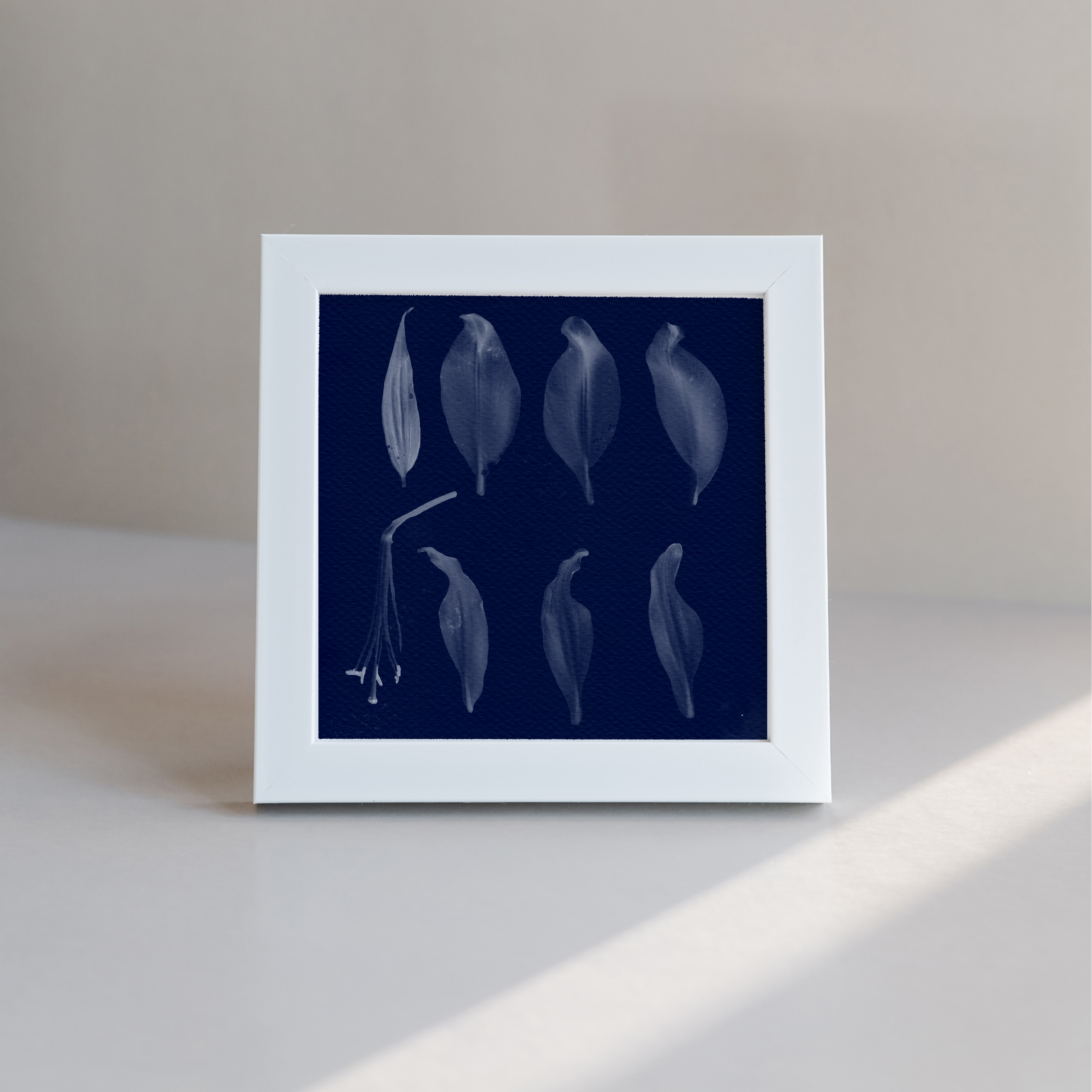 Petals mockup2.png