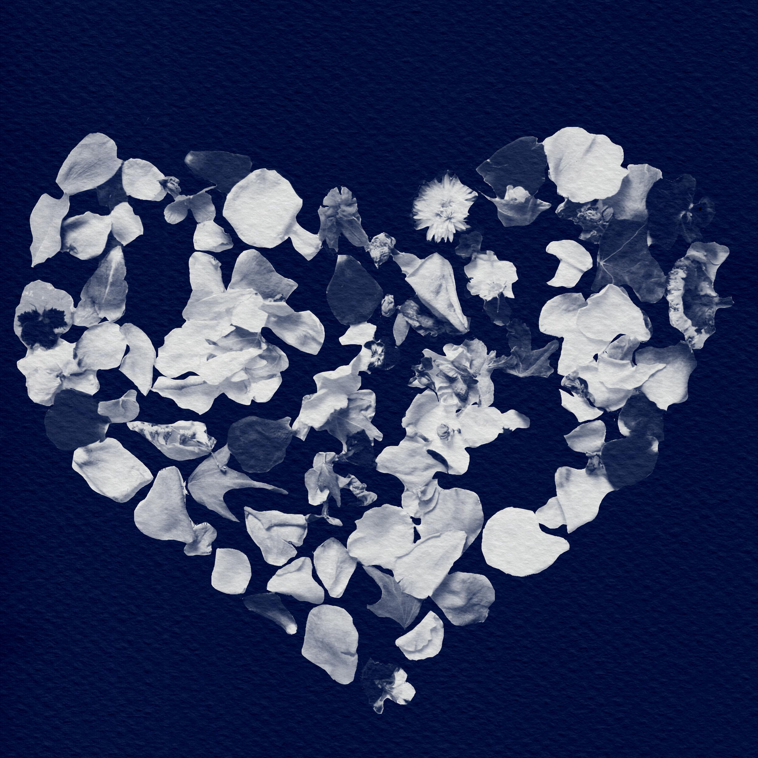 Cyanotype heart.png