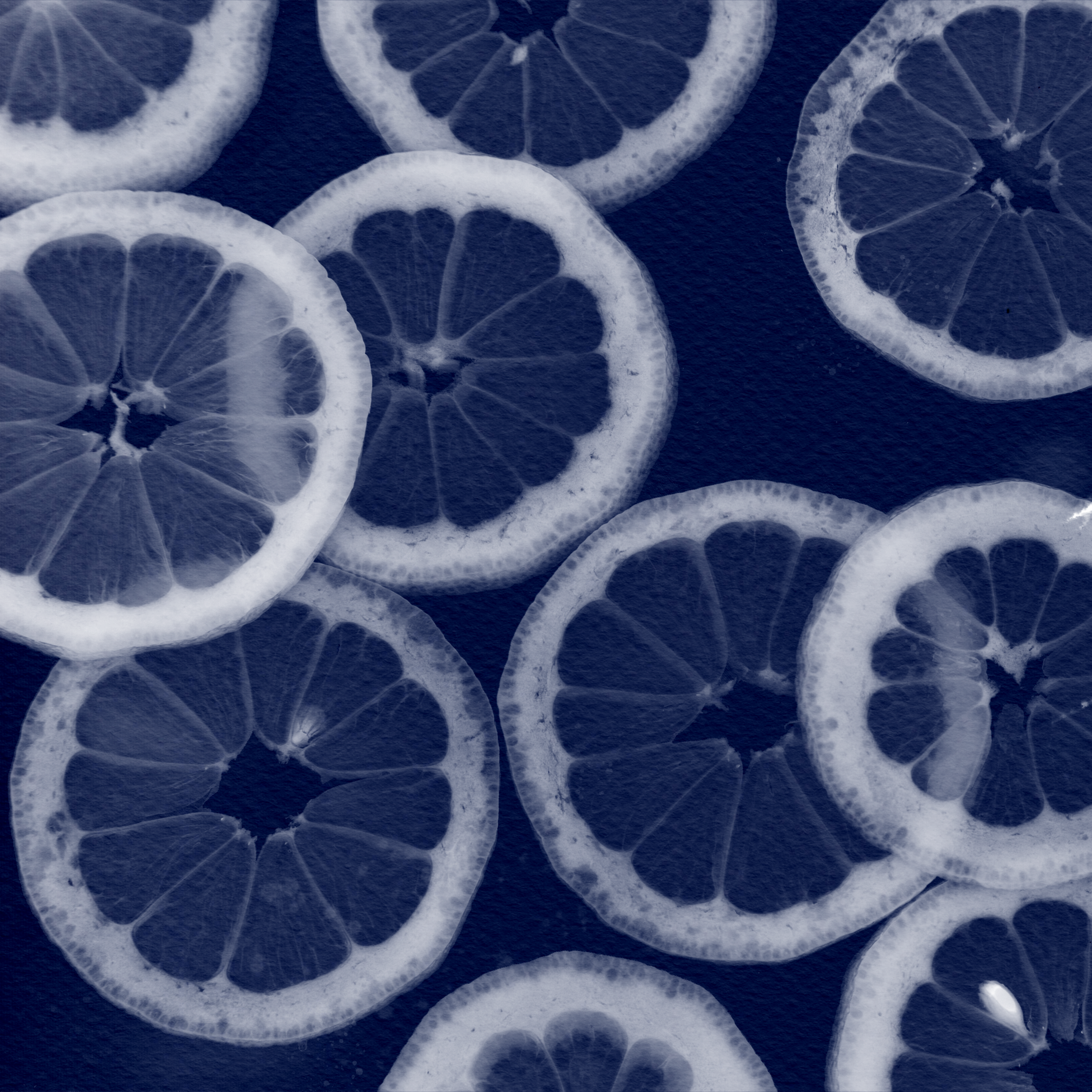 Cyanotype citrus.png