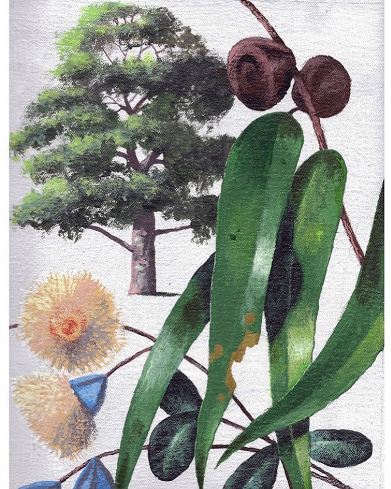 Here is the beautiful Eucalyptus tree from Australia the third of a series of paintings of trees designed to mark each month&rsquo;s Culture Box. They will be part of an activity that the person living with dementia and their carer will be offered as