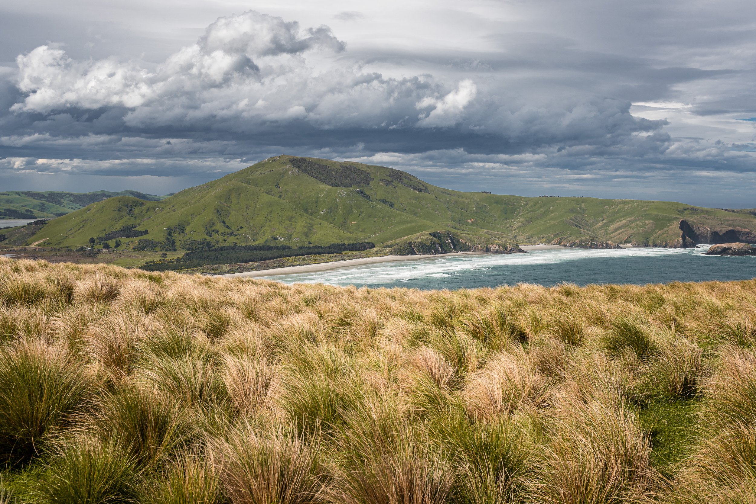 Otago-Peninsula-New-Zealand-1.jpg