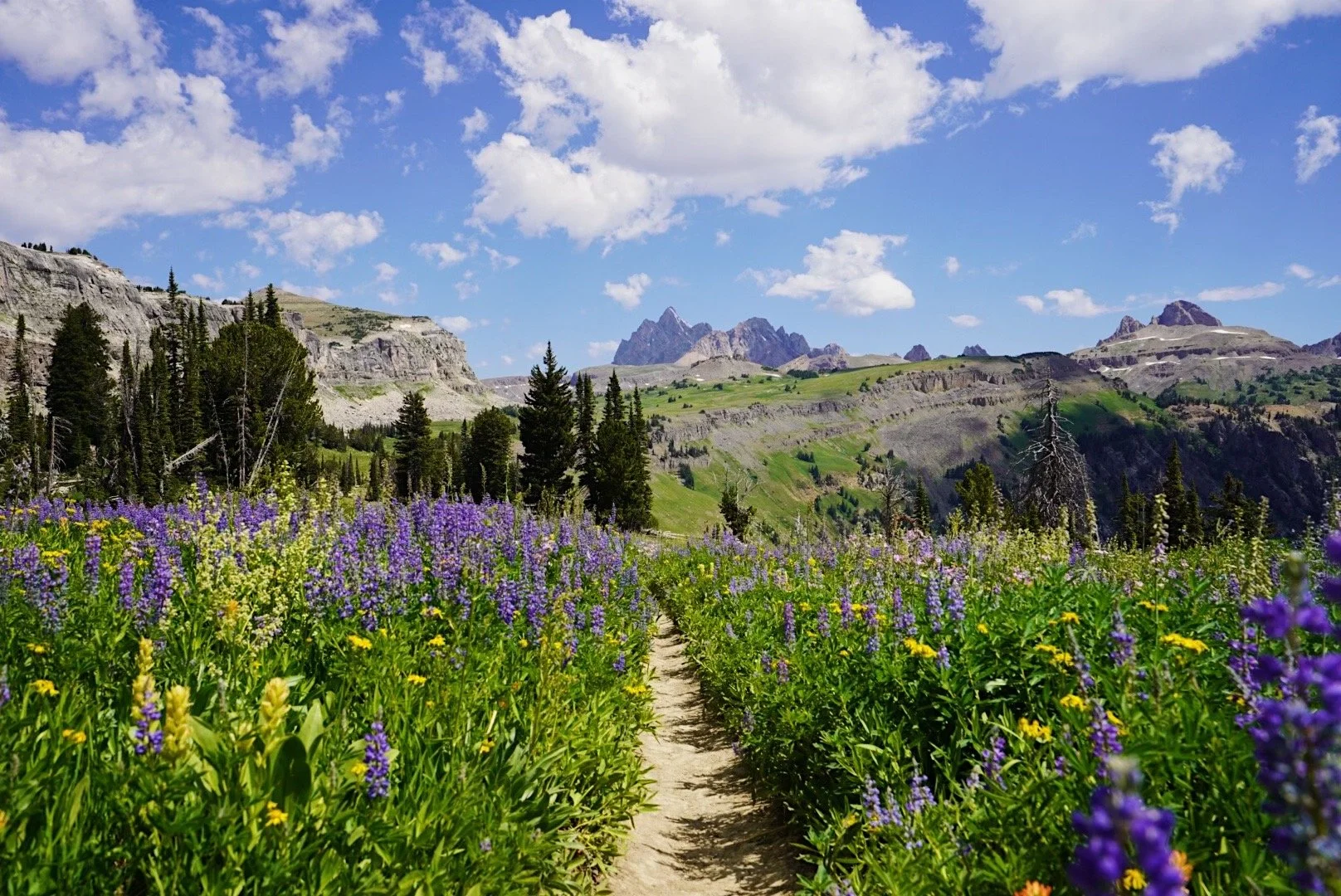 Best Backpacking Trips in Grand Teton National Park, Wyoming