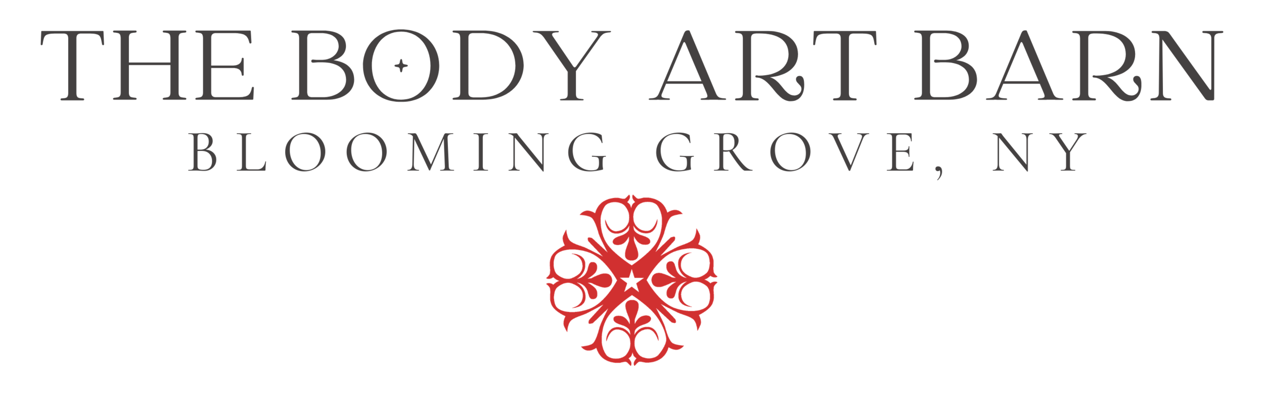 Yoga & Aerial Studio of Hudson Valley - The Body Art Barn - Aerial