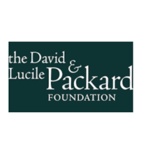 DLP  for site (1).png