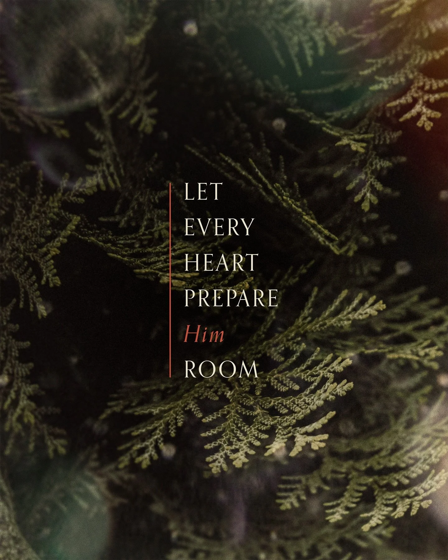 How do you think we can make more space in our hearts for Jesus this Christmas season?

Leave a comment ⬇️