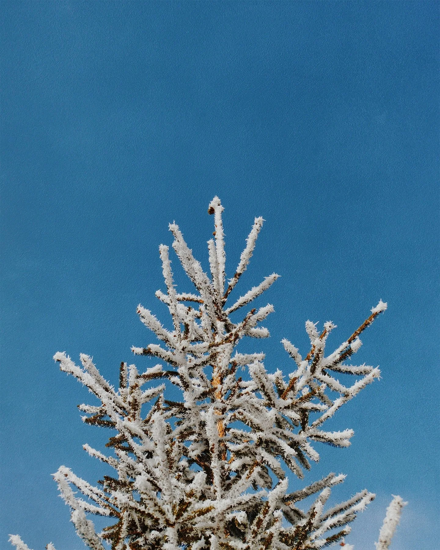 If you missed our Live Sunday experience &ldquo;Reaching One More Generation&rdquo; head over to our YouTube channel and watch the replay. You don&rsquo;t want to miss it!

Link: https://m.youtube.com/watch?v=VDKn-d4gEro