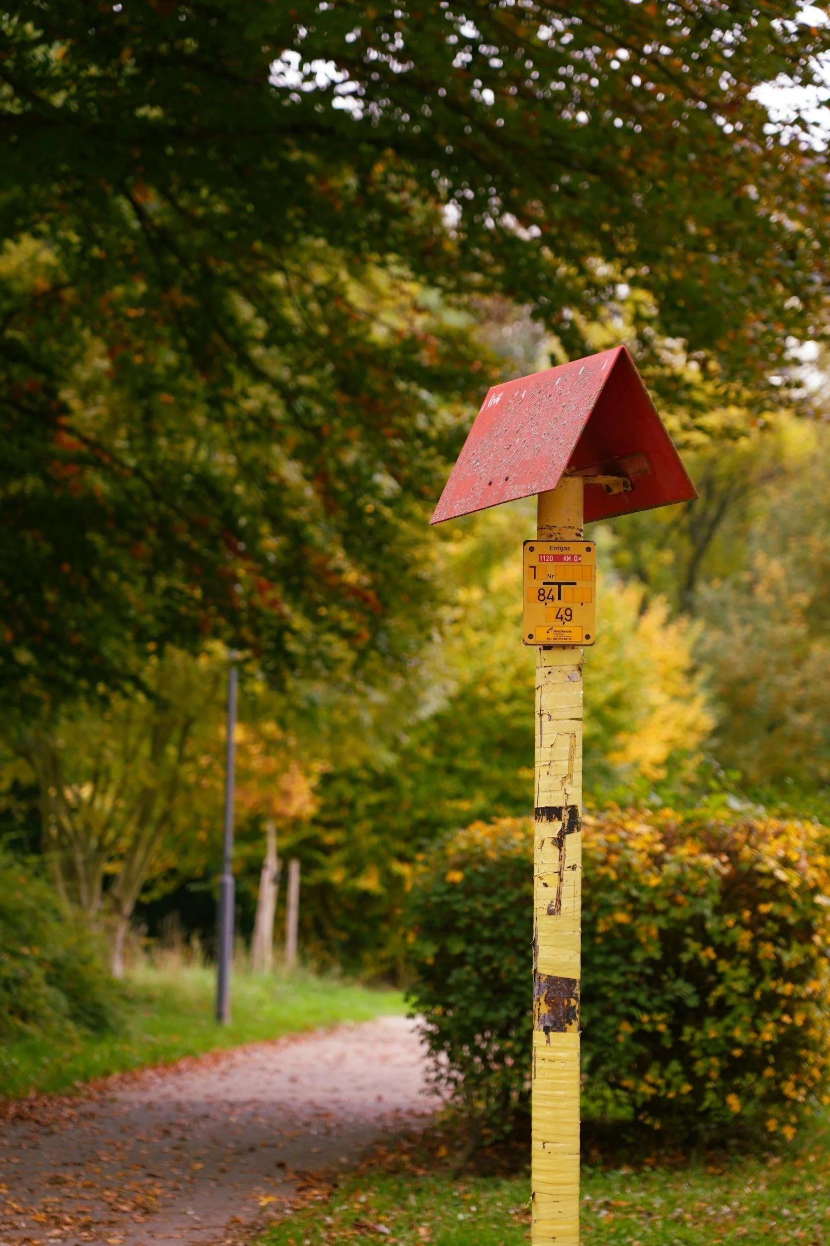 Standards of Practice: Building Trust