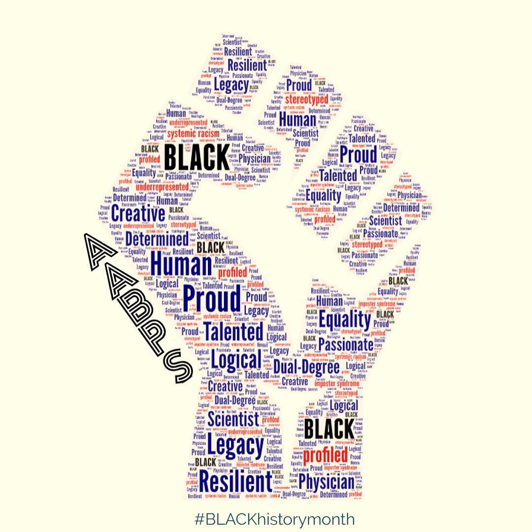 We are more than our degrees of melanin. We are more than our degrees of intelligence. More importantly, we are more than these words. Join #AABPS @aablackps.org and help us cultivate a space that celebrates ALL of you. #premedtwitter #mdphd #physici