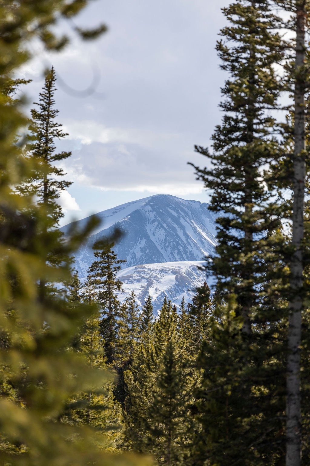 Lot 20 SolitudeApril2025Selects-TrendemMedia-58.jpg