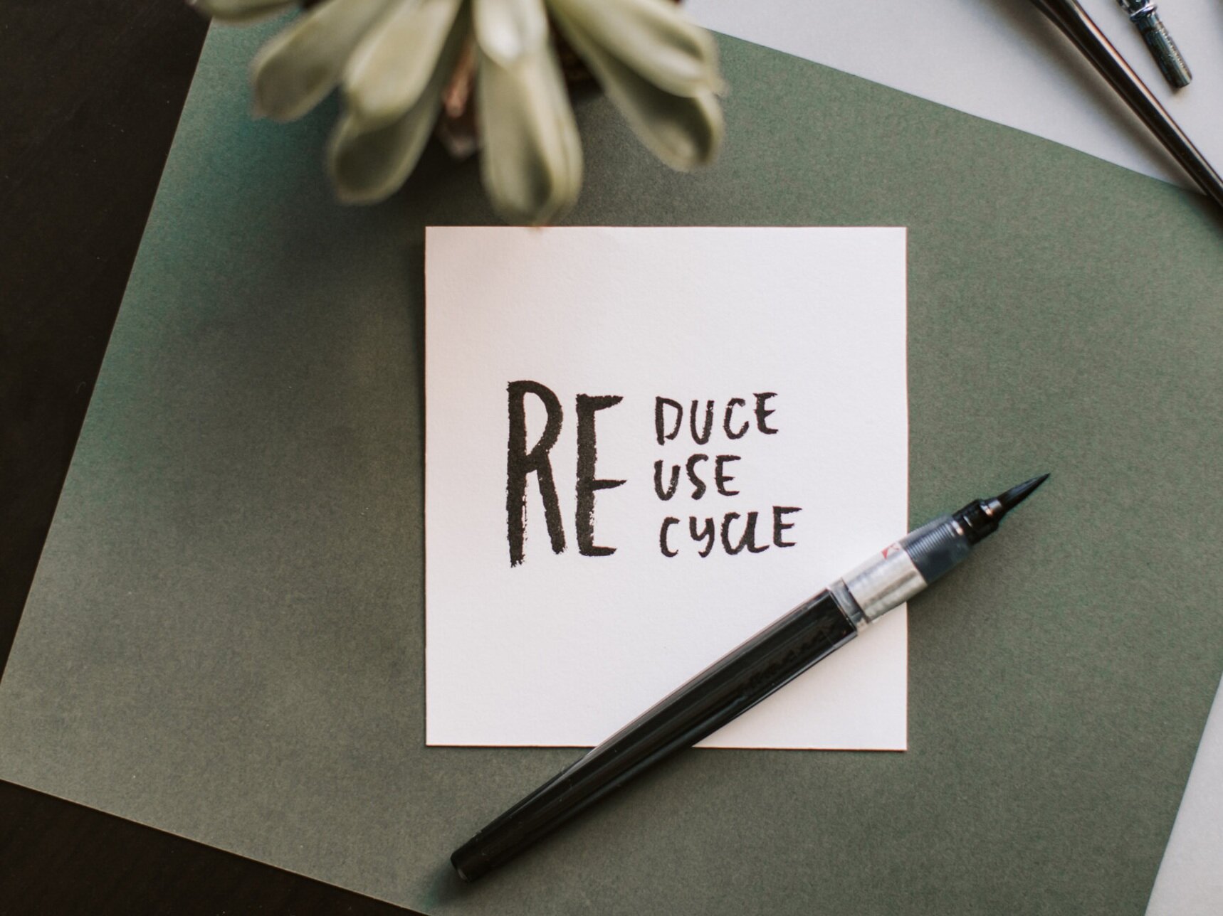 8 Ways to Reduce Your Carbon Footprint