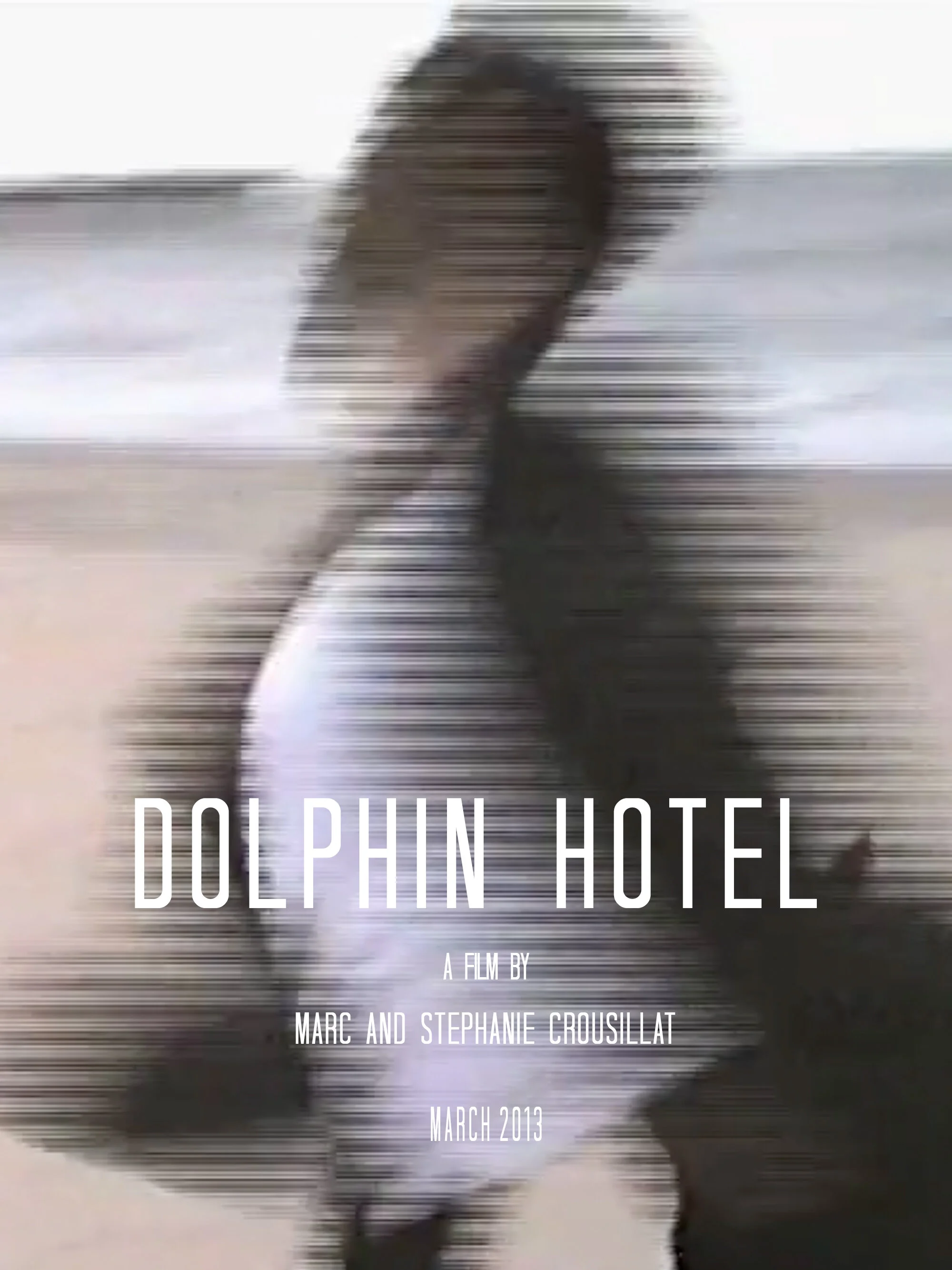Dolphin Hotel (2013)