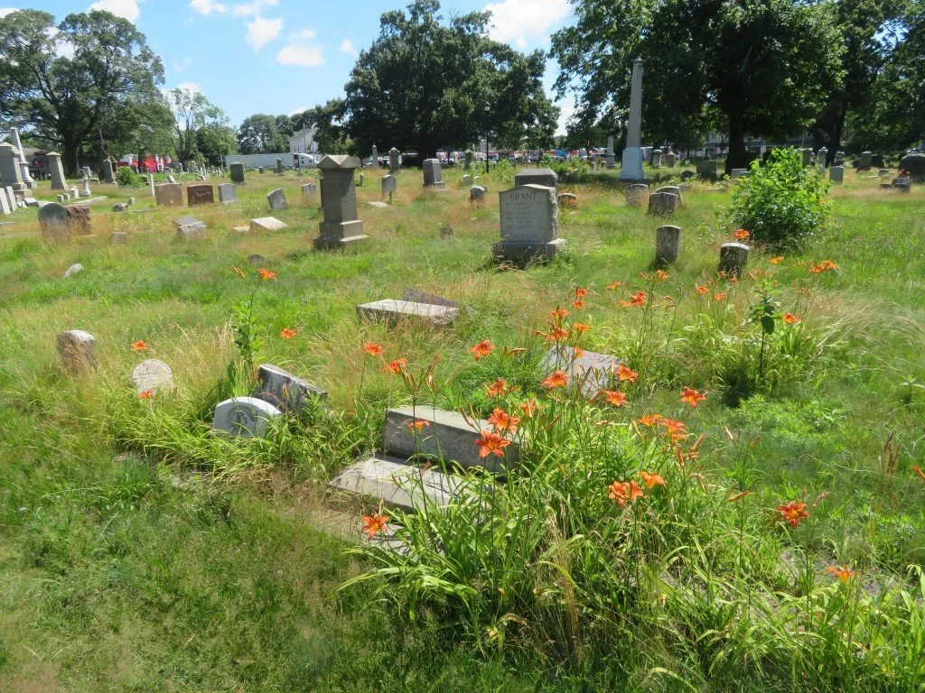 Open Cemetery Hours