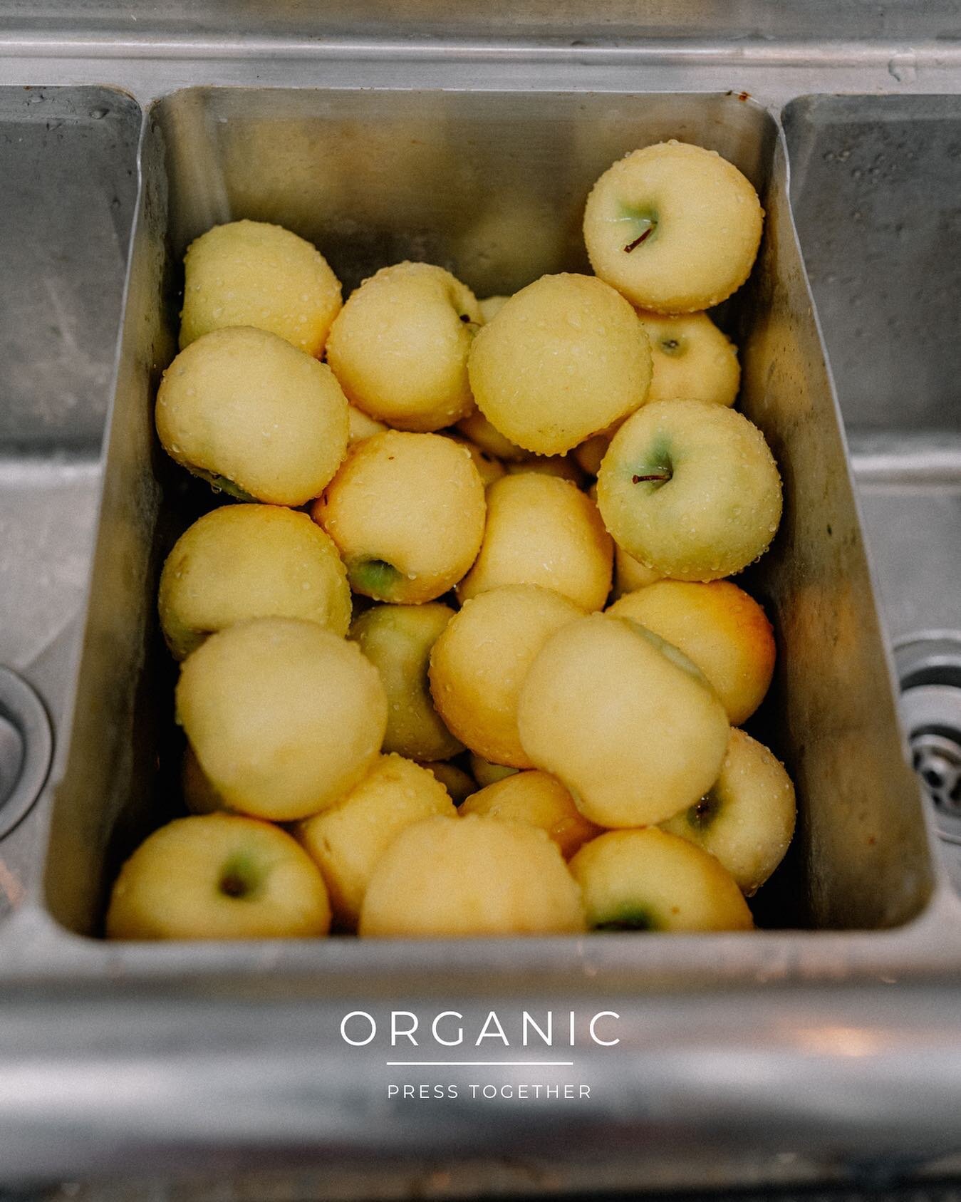 raw. ORGANIC. cold-pressed.
ORGANIC means we use 100% organic fruits and vegetables for the best quality of nutrients!