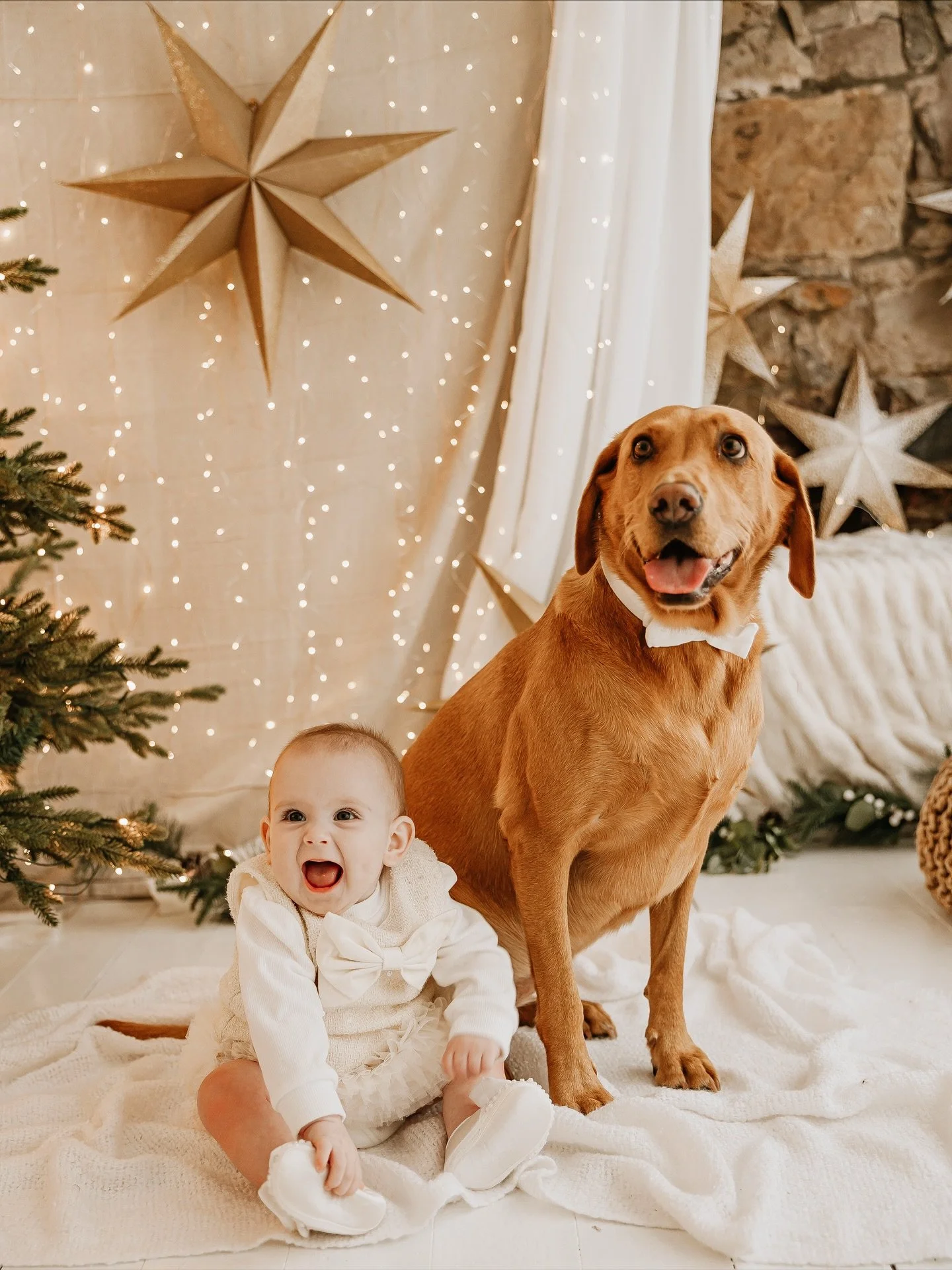 Darcie and Daisy 😍

How could these two not have their own square on the grid!

#christmasminisessions #christmasphotoshoot #fifefamilyphotographer #fifephotographer #fifebabyphotographer #edinburghbabyphotographer #dundeebabyphotographer #christmas