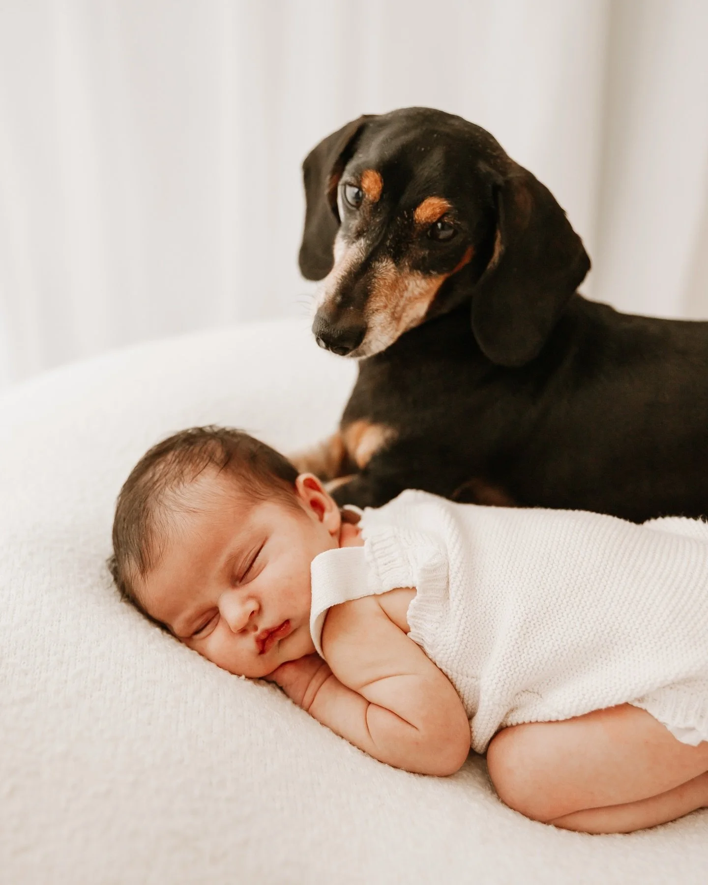 Just a girl and her new bestie 🥰

#dogsofinstagram #babyanddog #fursiblings #doggyphotoshoot #newbornphotographer #fifenewbornphotographer #edinburghnewbornphotographer #dundeenewbornphotographer #newbornanddog #dogandbaby #scottishnewbornphotograph