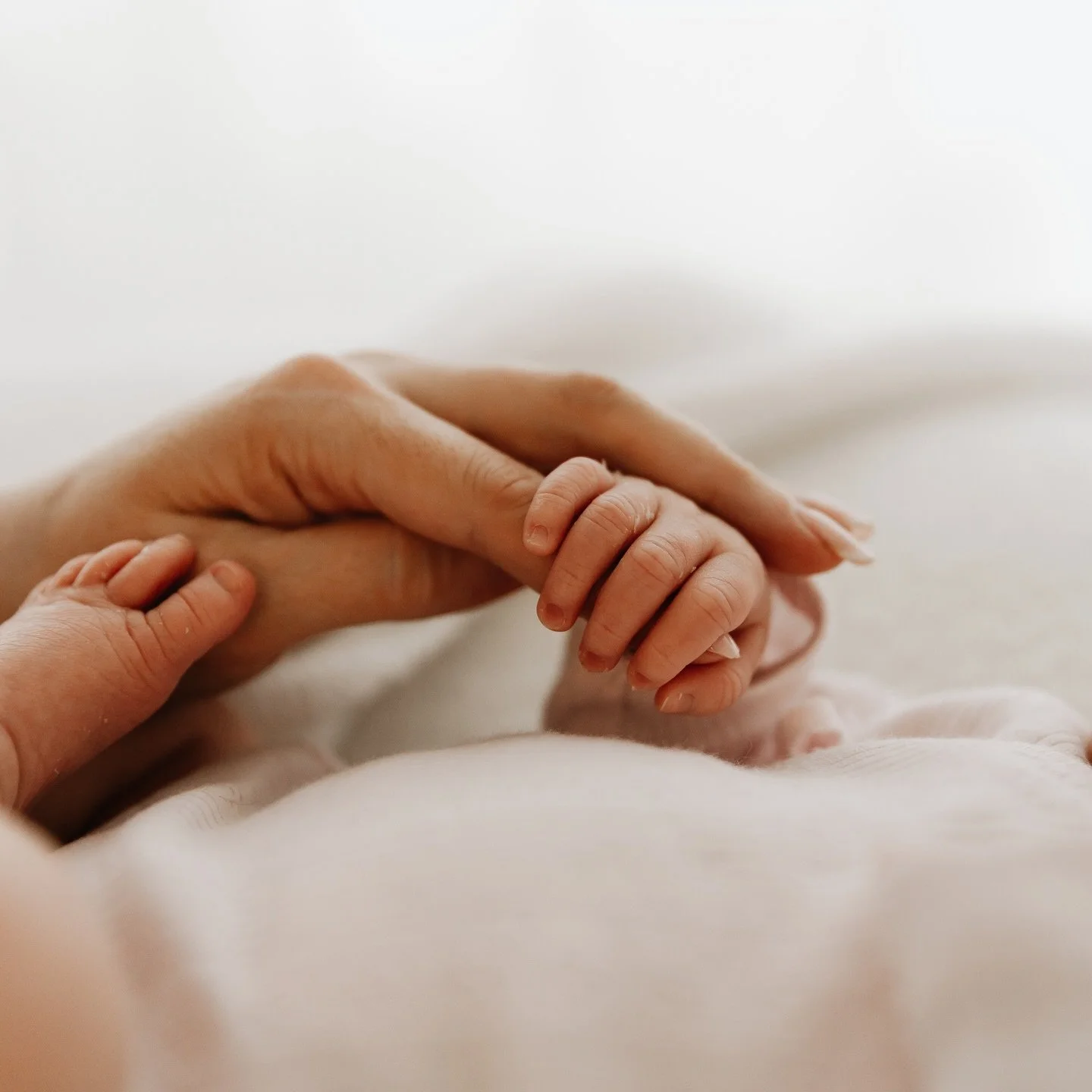 That tiny grip&hellip;nothing else like it 🤍

newbornphotography #newbornphotographer #fifenewbornphotographer #dundeebabyphotographer #edinburghnewbornphotographer #dundeenewbornphotographer #fifefamilyphotographer #allthelittledetails #newborngrip