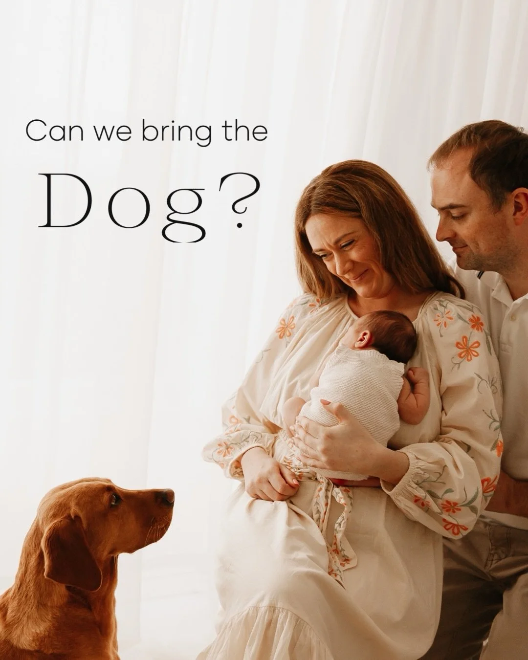 Your furry friend is part of your family too, often your first baby! 

and that&rsquo;s why they are always welcome at the studio for any session

So If your family includes four legs and a wagging tail, I&rsquo;d love to capture your story.
Send me 