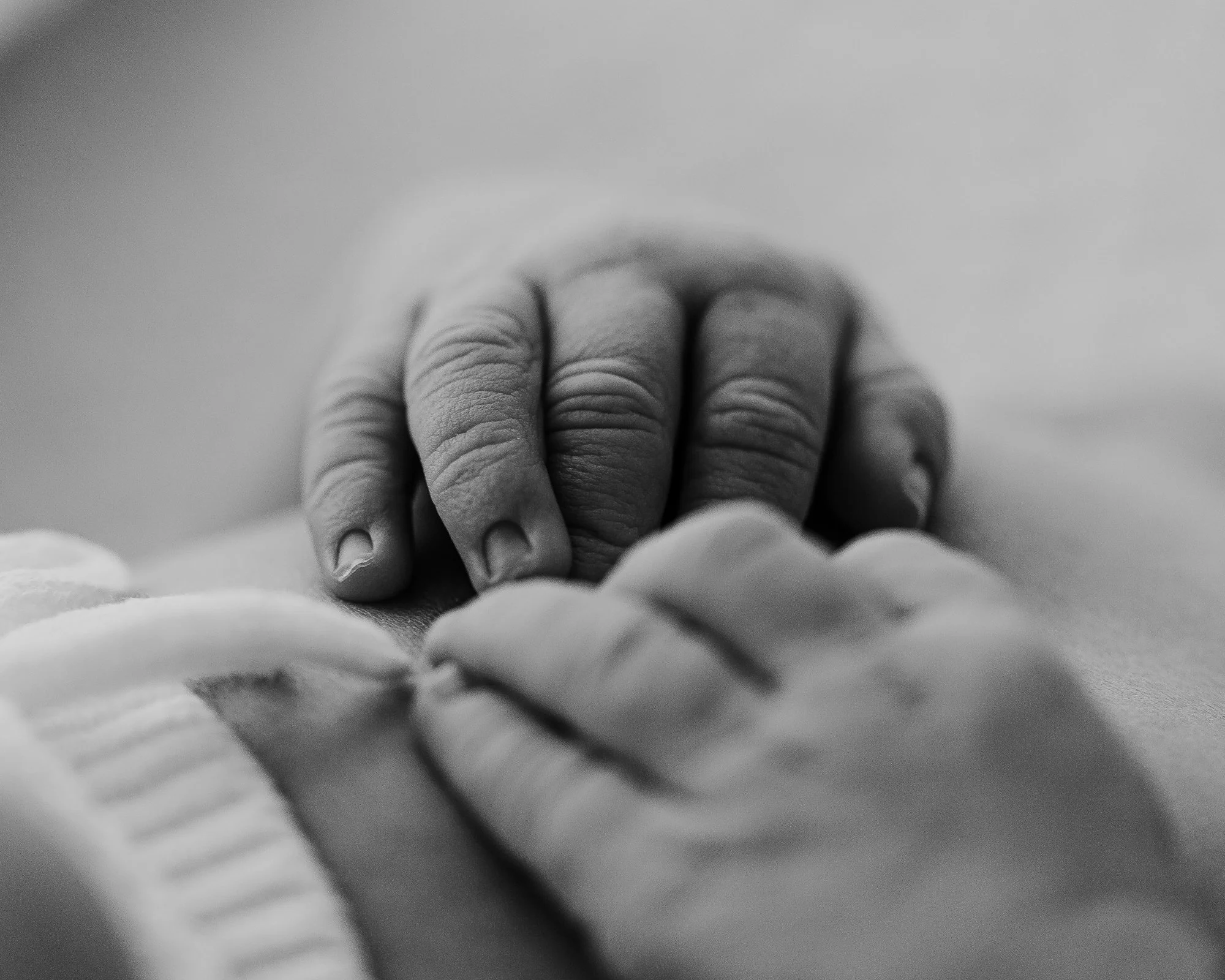 Close-up of a baby's tiny hand gripping an adult's finger in black and white