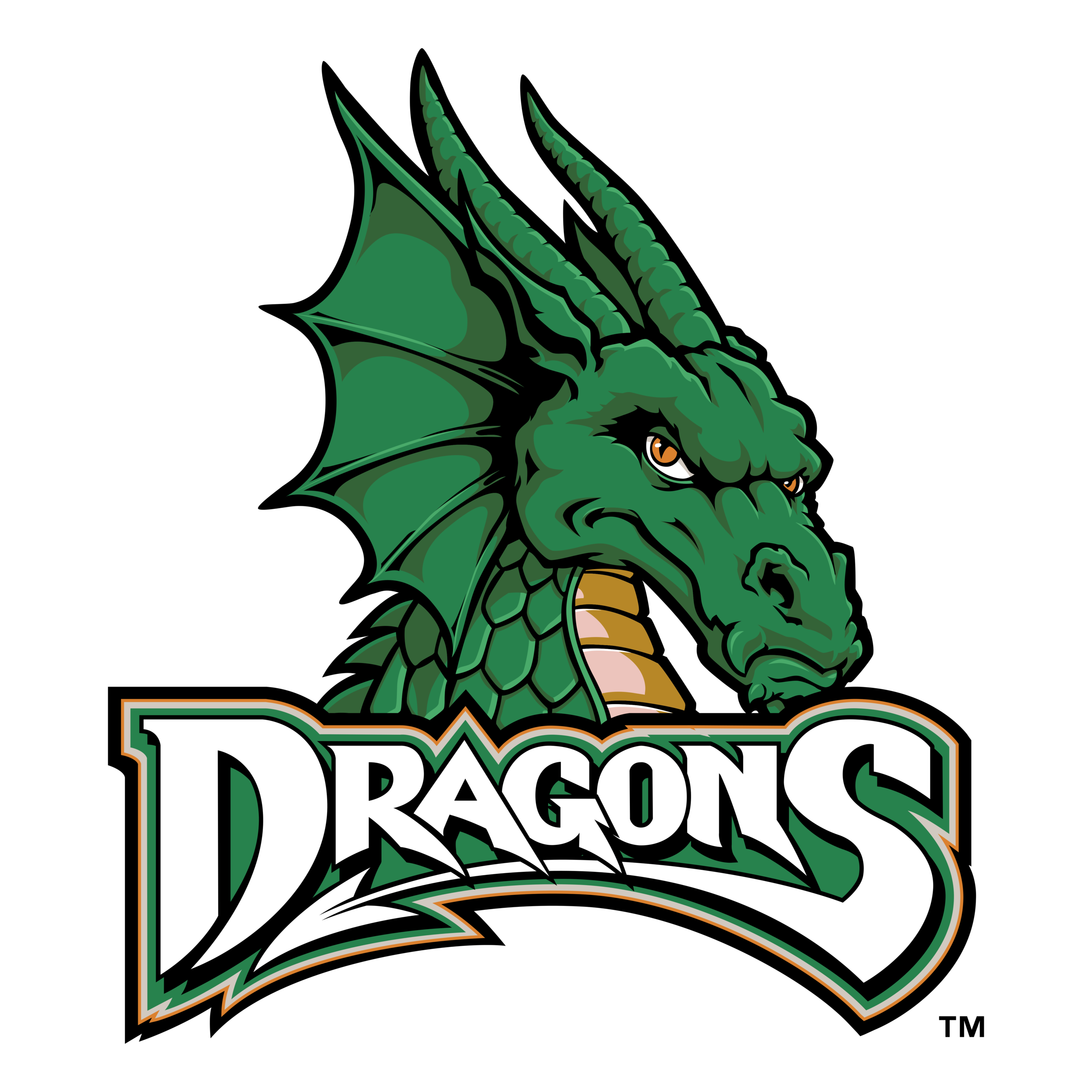 GIVEHOPE Day @ The Dayton Dragons