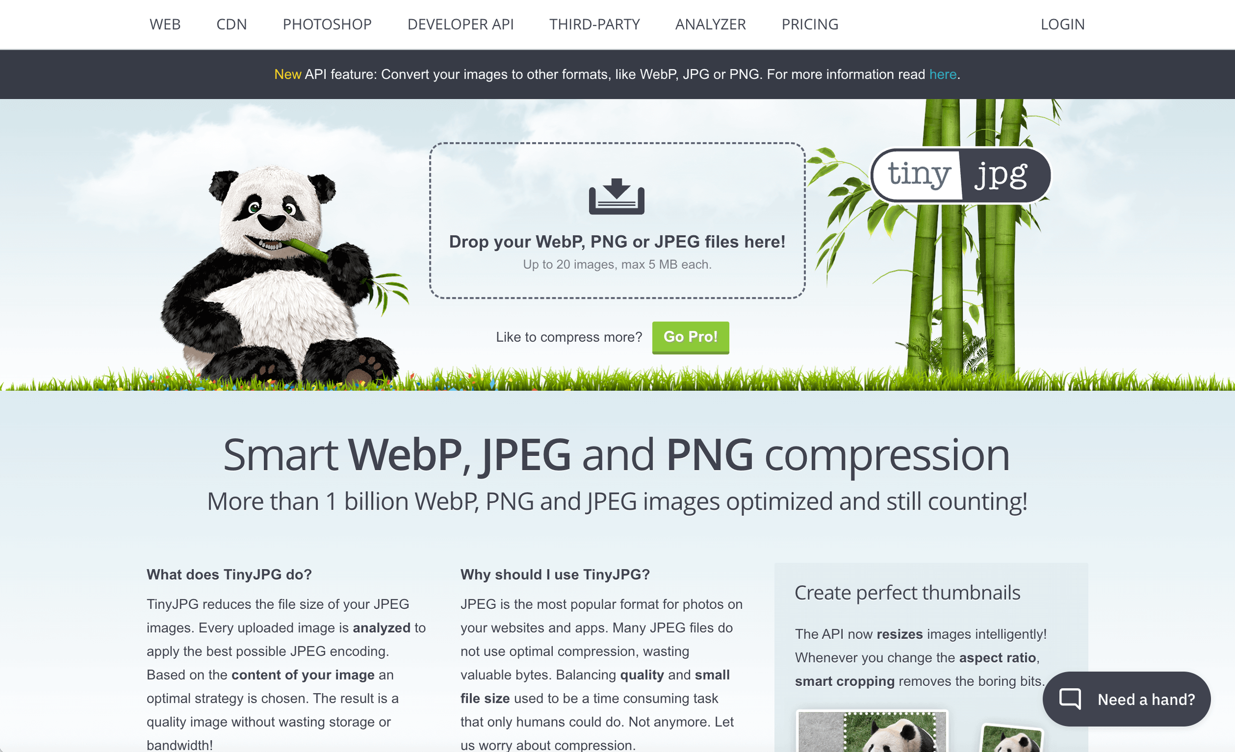 Mockup for TinyJpg.com which shows a panda character as their mascot for file size management