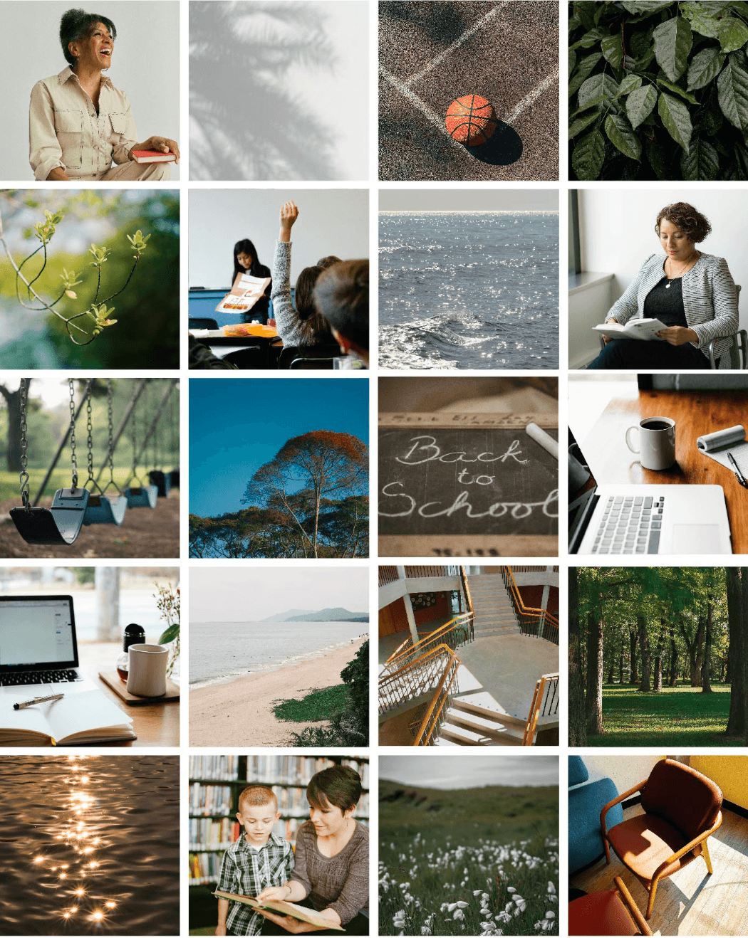grid of brand photography of school and back to school scenes and trees