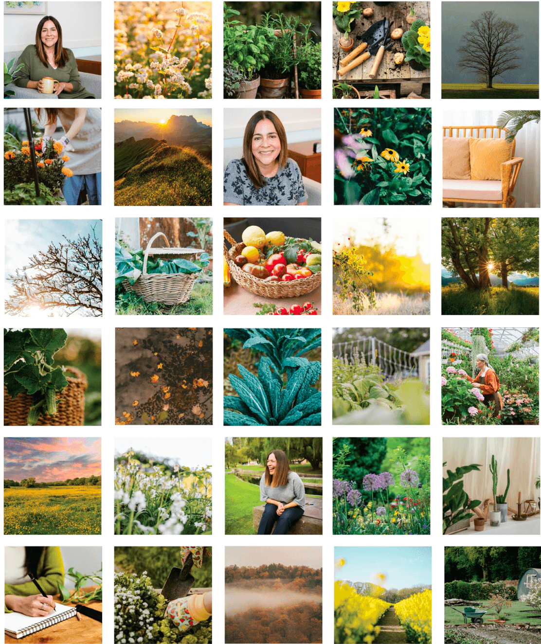 brand photography for rosa, images of gadening and vegetables and northern california landscapes