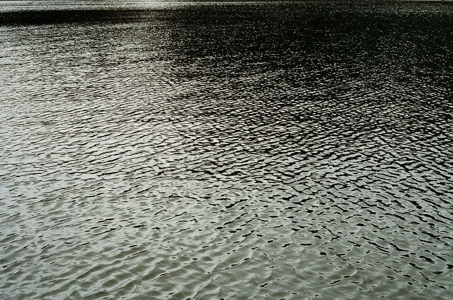 8C830780-0D1D-4BDB-8F4A-A6F23587B483.jpeg