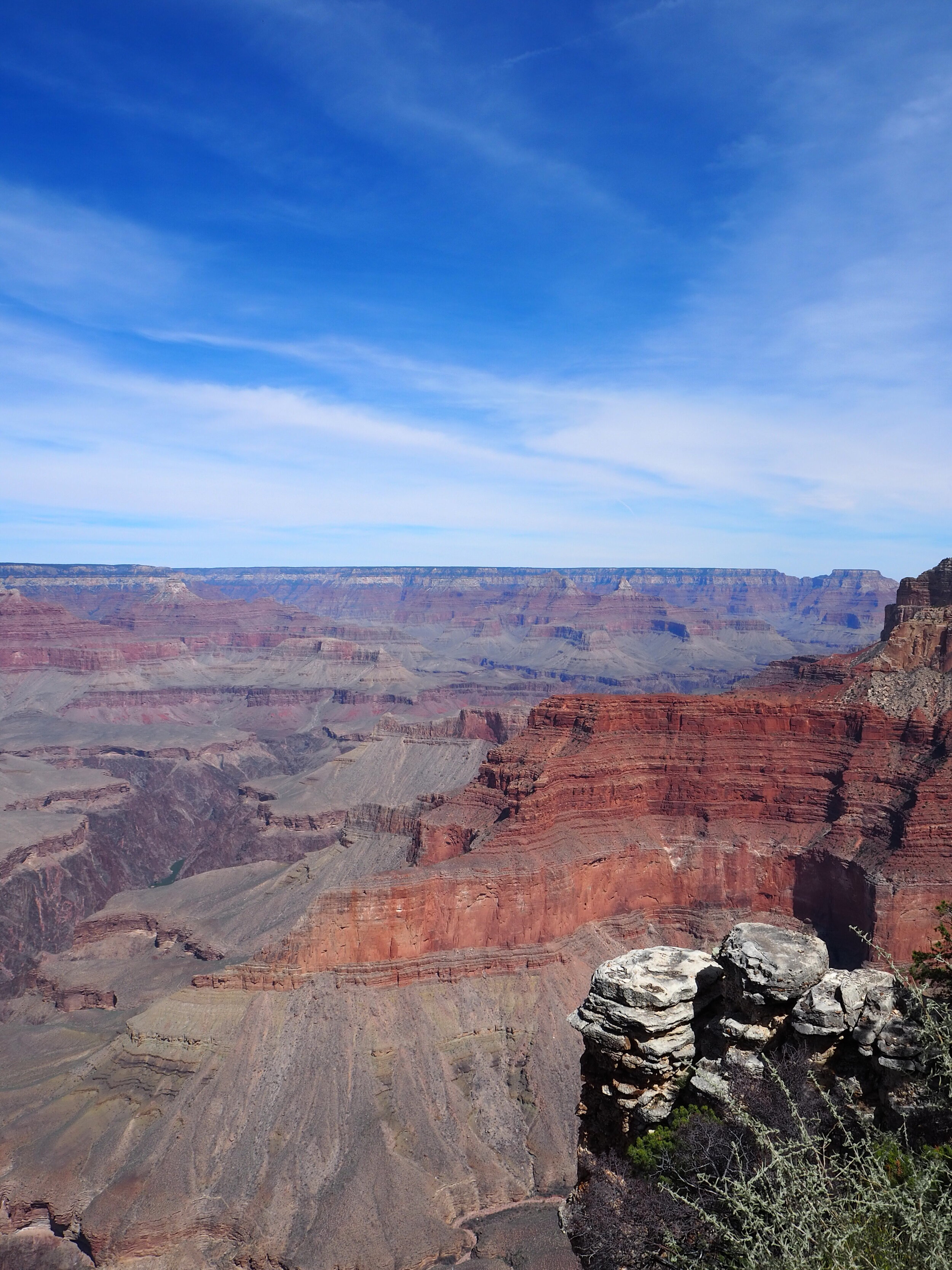 F97FF329-A06D-4FCC-85C2-ACD8E7D628F7.jpeg
