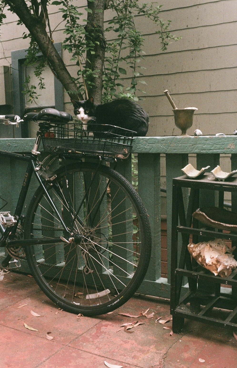 080258E8-A286-40F4-92C4-9BD74005A583_1_201_a.jpeg
