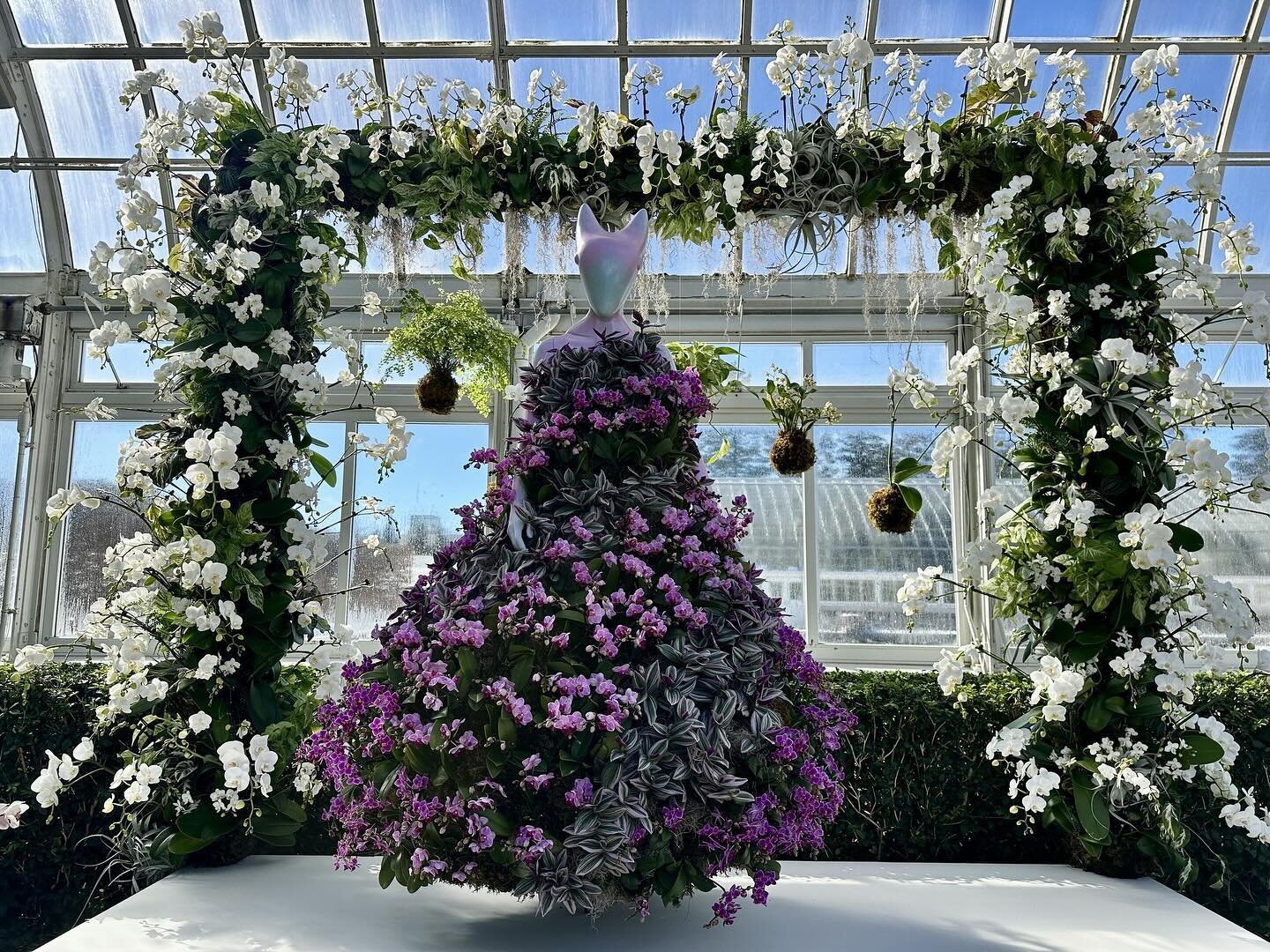 If you can&rsquo;t get enough fashion, go see @collinastrada and @dauphinette.nyc featured in the @nybg&rsquo;s latest show: &ldquo;The Orchid Show: Florals in Fashion.&rdquo;

On view from 2/17-4/21.