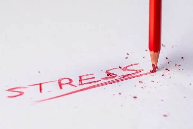 Stress can leave a real mark on your body and mind — from tension headaches to fatigue. Learn how to recognize the signs with Wilson Counseling in Houston.