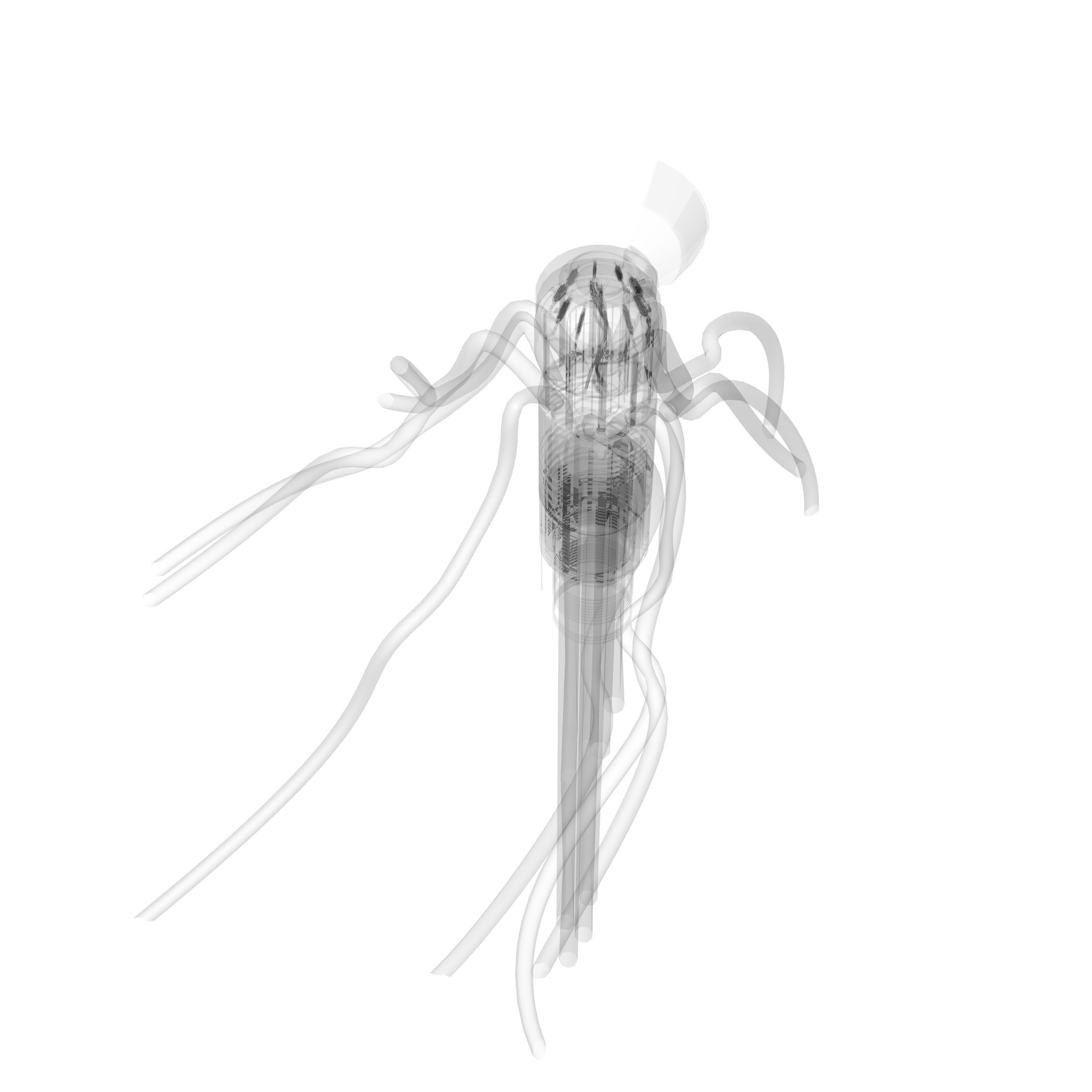 generator ghost_perspective.jpg