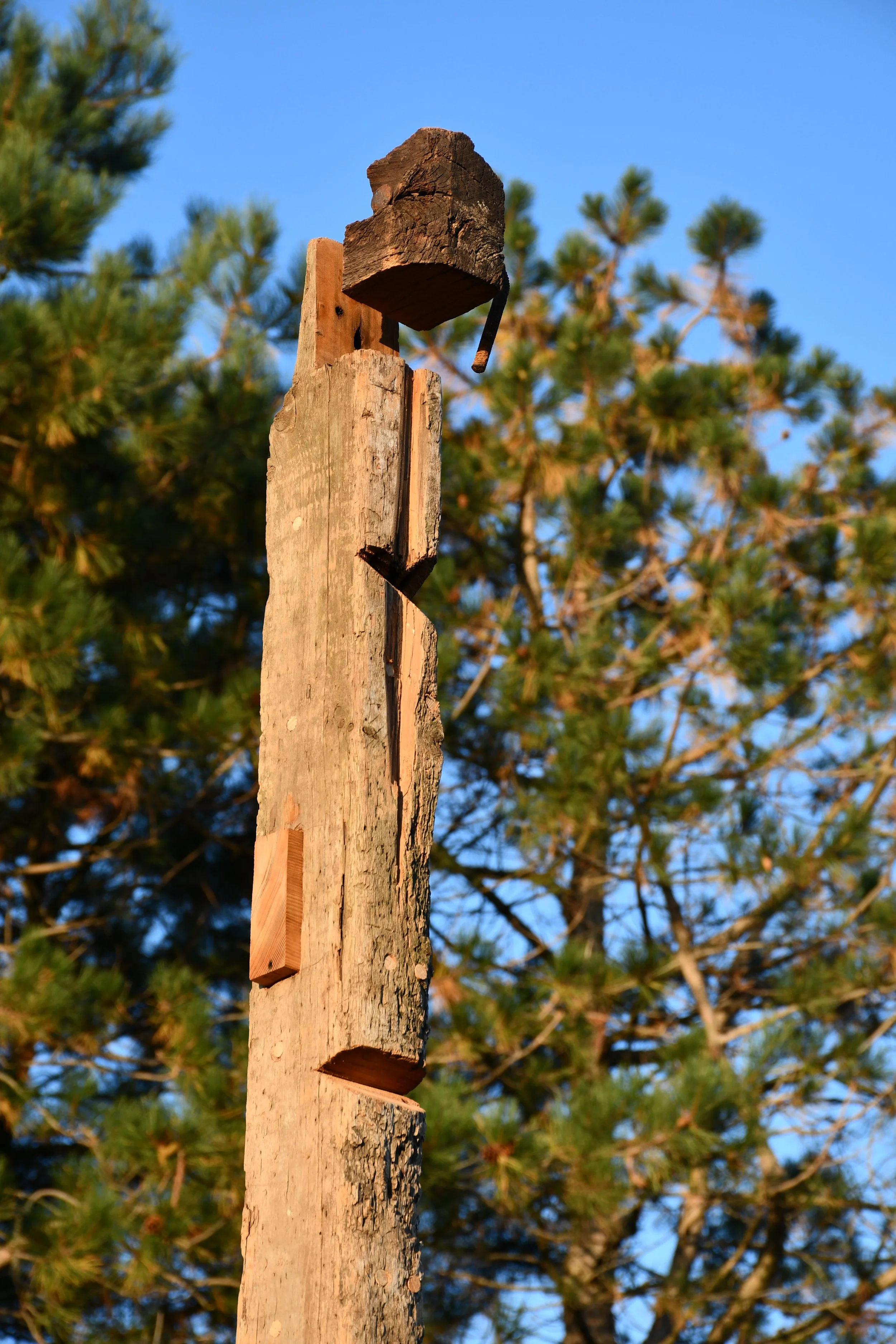 DSC_4921.JPG
