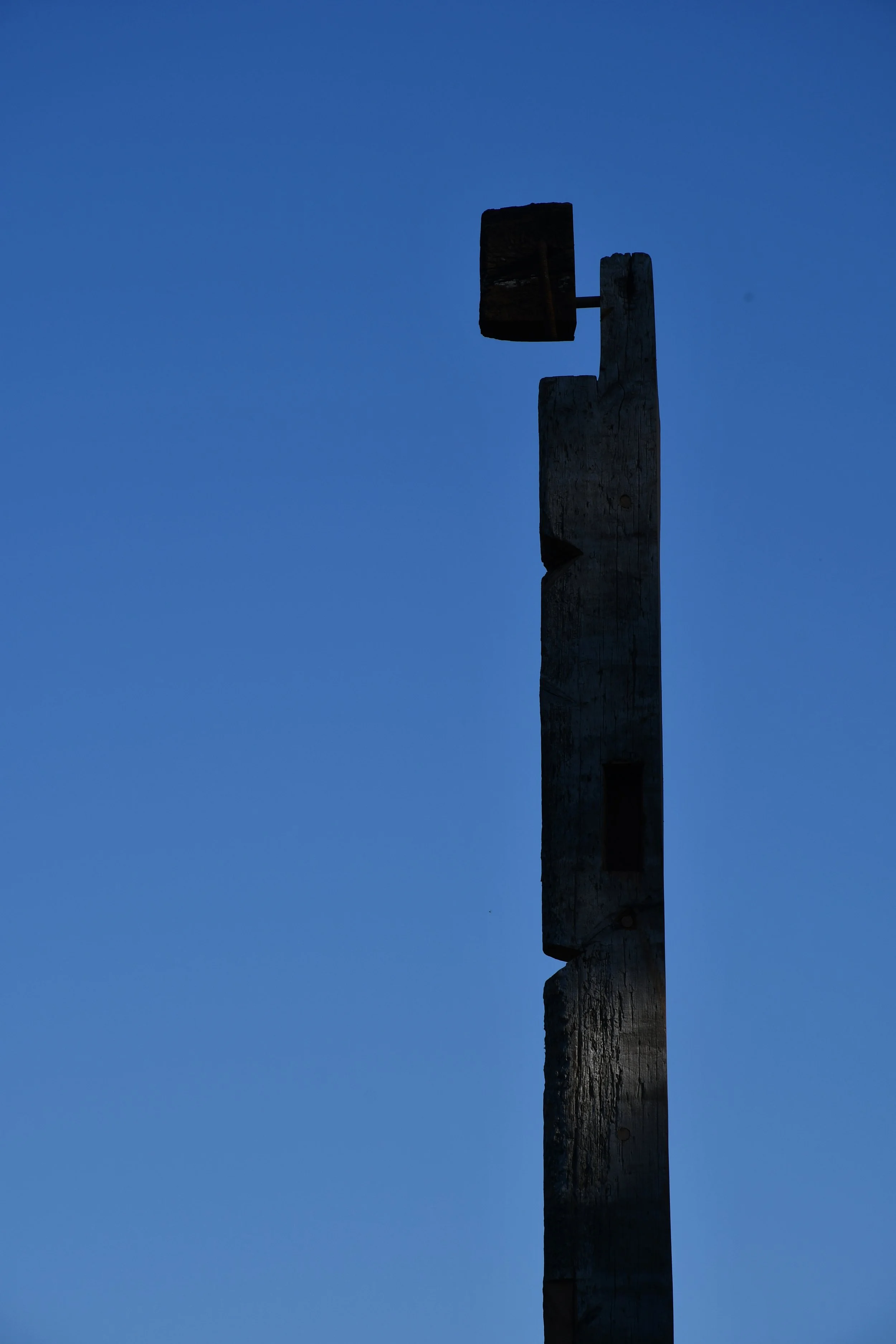 DSC_4786.JPG