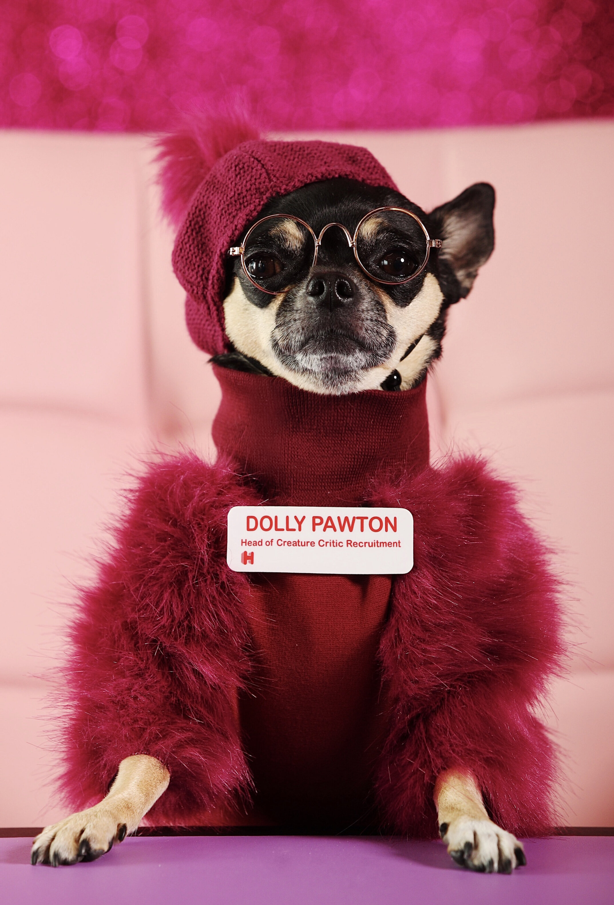 Dolly4.jpg