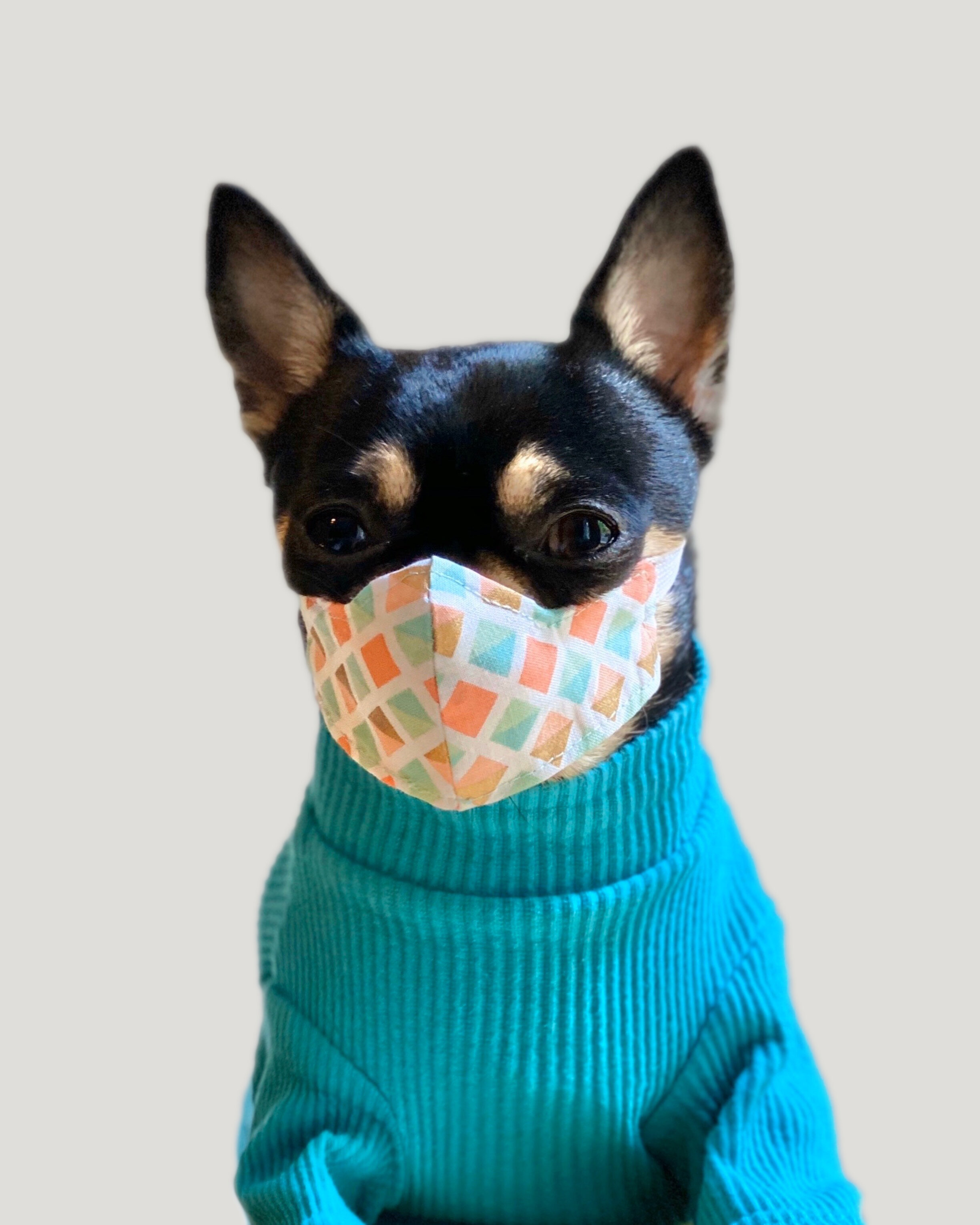 Dolly19.jpg