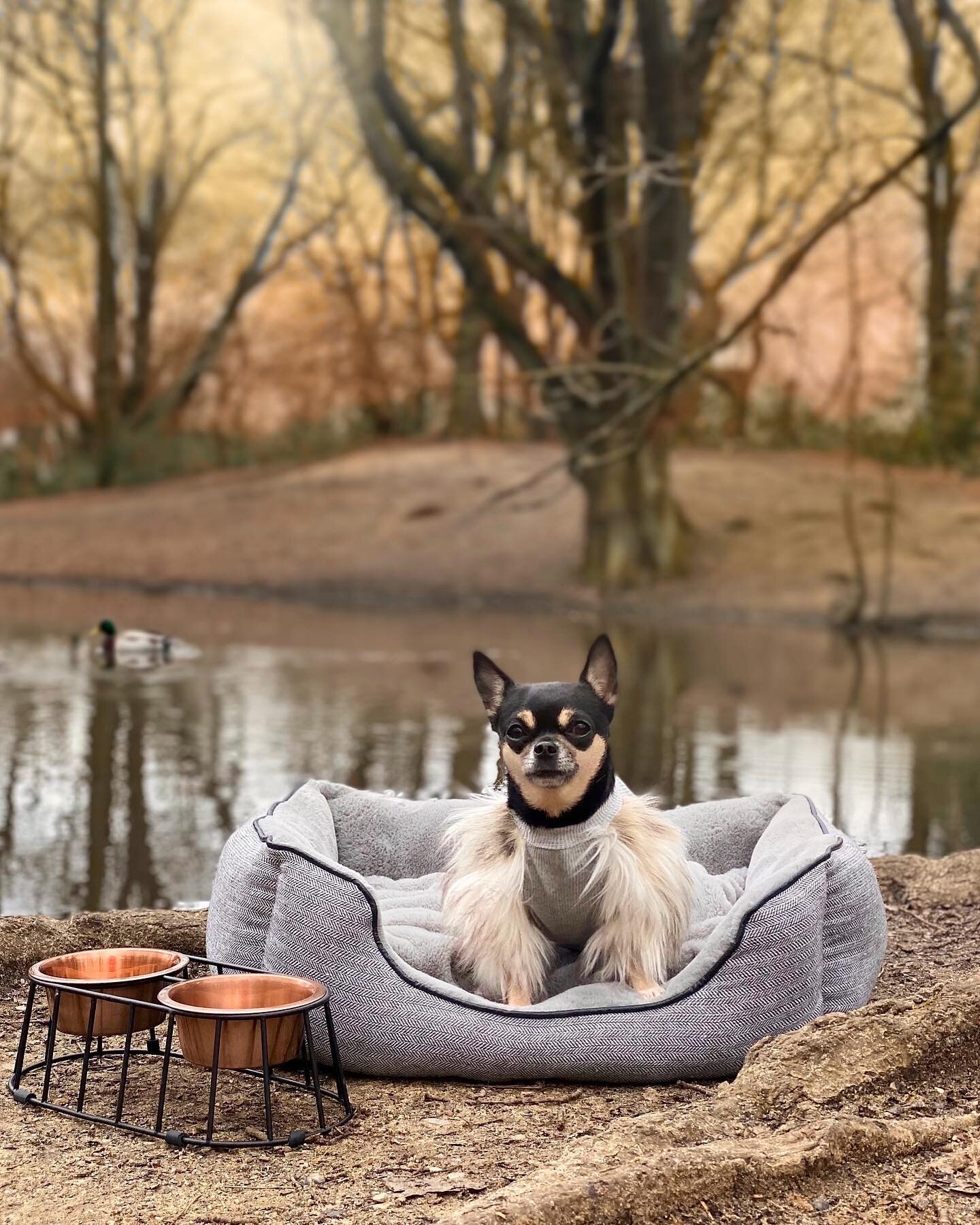 PSA: I&rsquo;m literally so sick of waking up without 5 million dollars in my bank account. 🙄 #IdEvenSettleForAMil #MondayMood 
(AD) I am ultra fussy with my personal homeware so when Aldi asked me to review some pieces, I warned them... you know wh