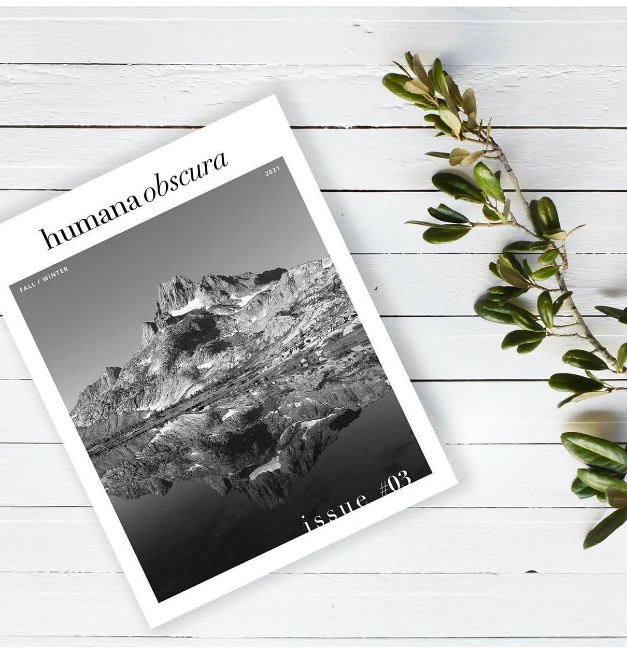 Please check out this beautiful and inspiring magazine! I&rsquo;m thrilled to have my artwork, &ldquo;Spring Illusion&rdquo; included in the fall/winter 2021 issue! @humanaobscura 💕🌸🙏🏻