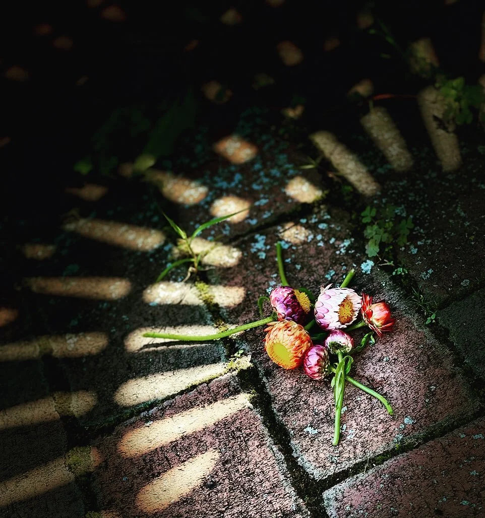 First word that comes to mind for this image? I&rsquo;m always curious if others get lost in a photo like I do. I&rsquo;m not sure where I&rsquo;ll go with this, but it&rsquo;s drawing me in for some reason. Maybe your first reactions will send me in
