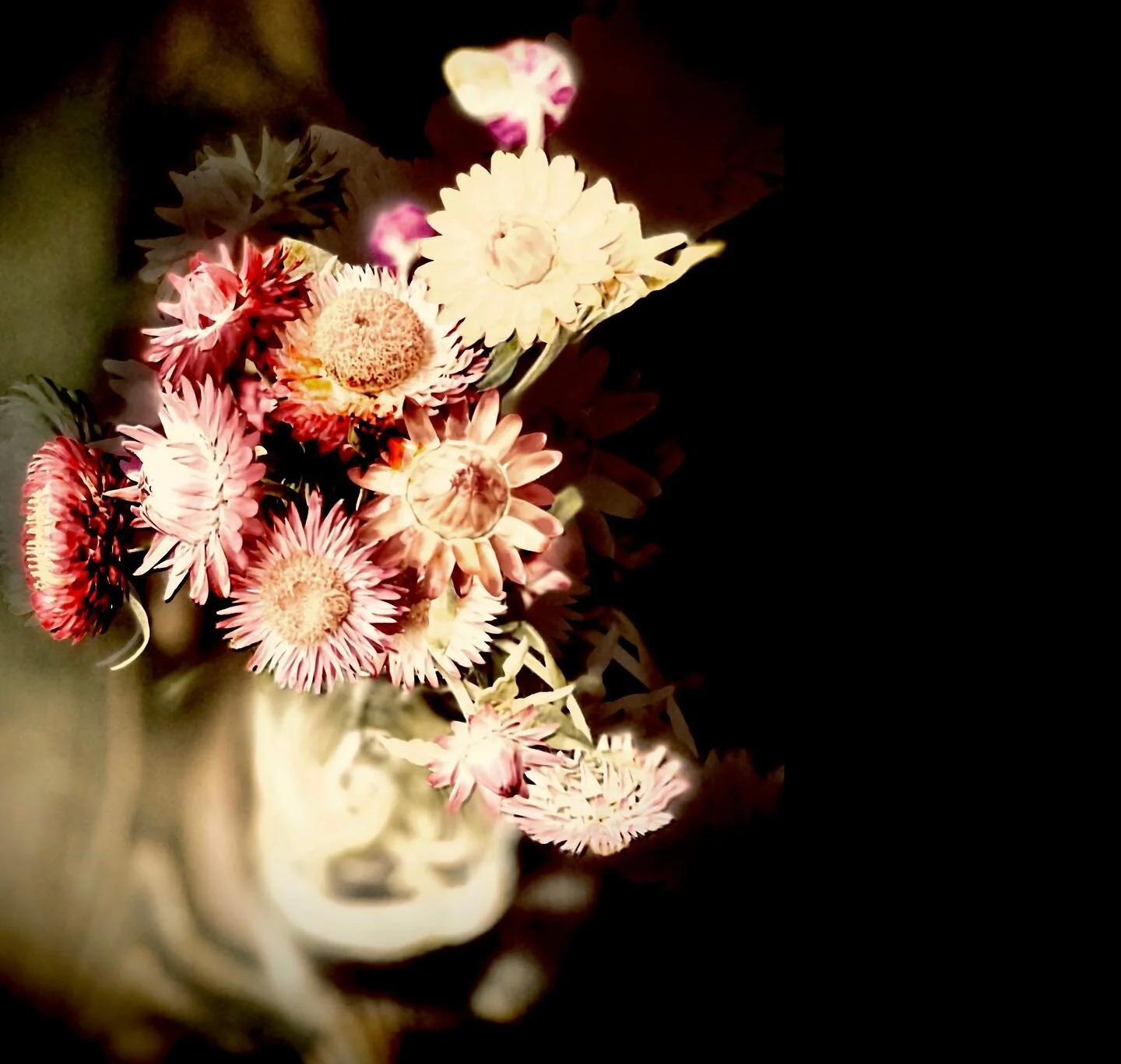 Fell hard for how these turned out. Please flip through, let me know your thoughts and preferences. I had grabbed a few flowers before the end of autumn took my garden. In a mini old school milk bottle, with their sharp little edges, I just popped a 