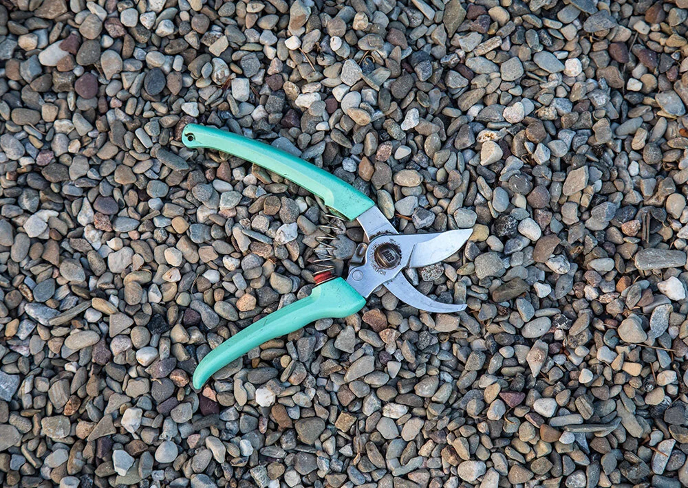 handpruners.jpg