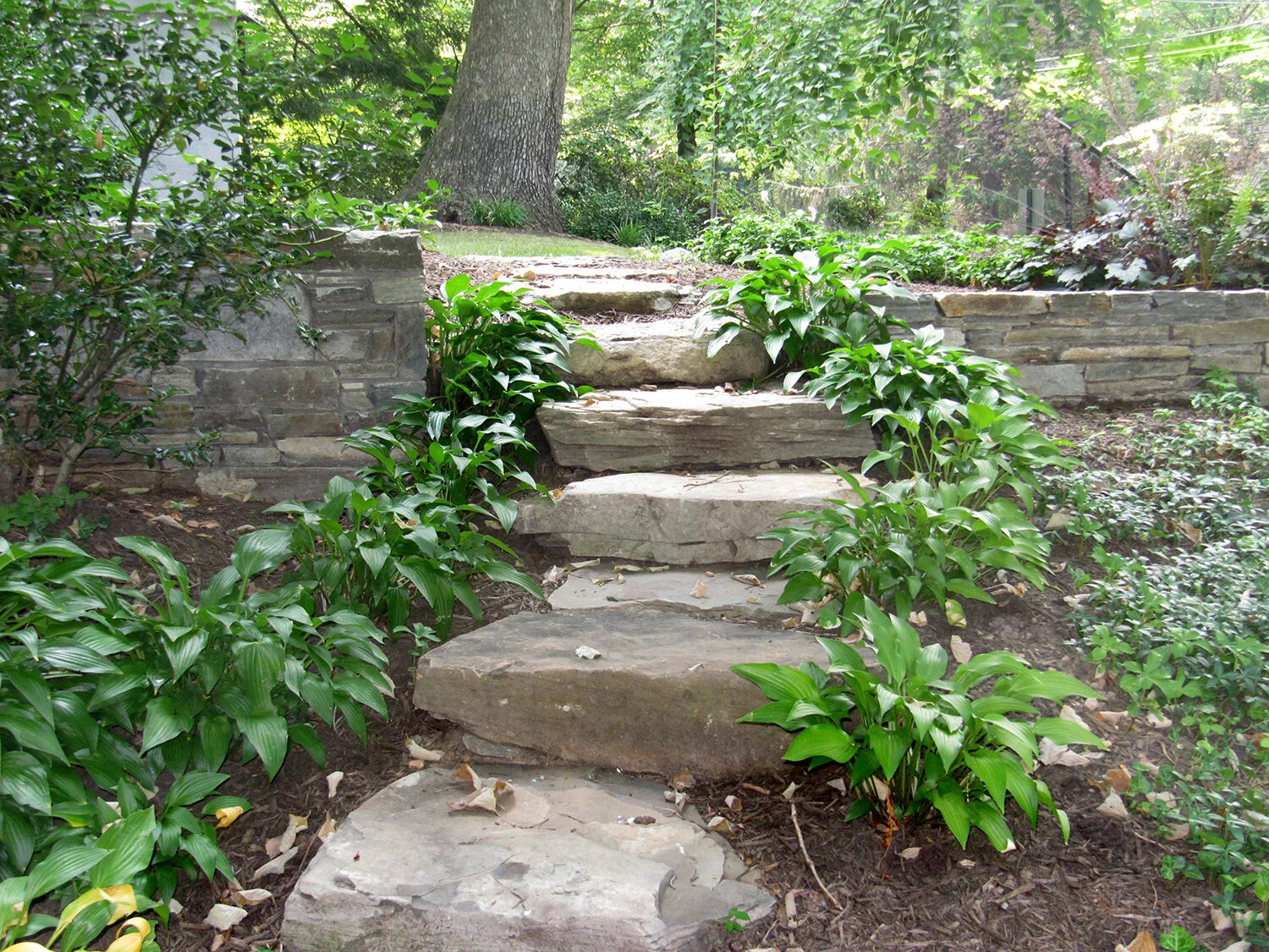 pa-stone-steppers.jpg